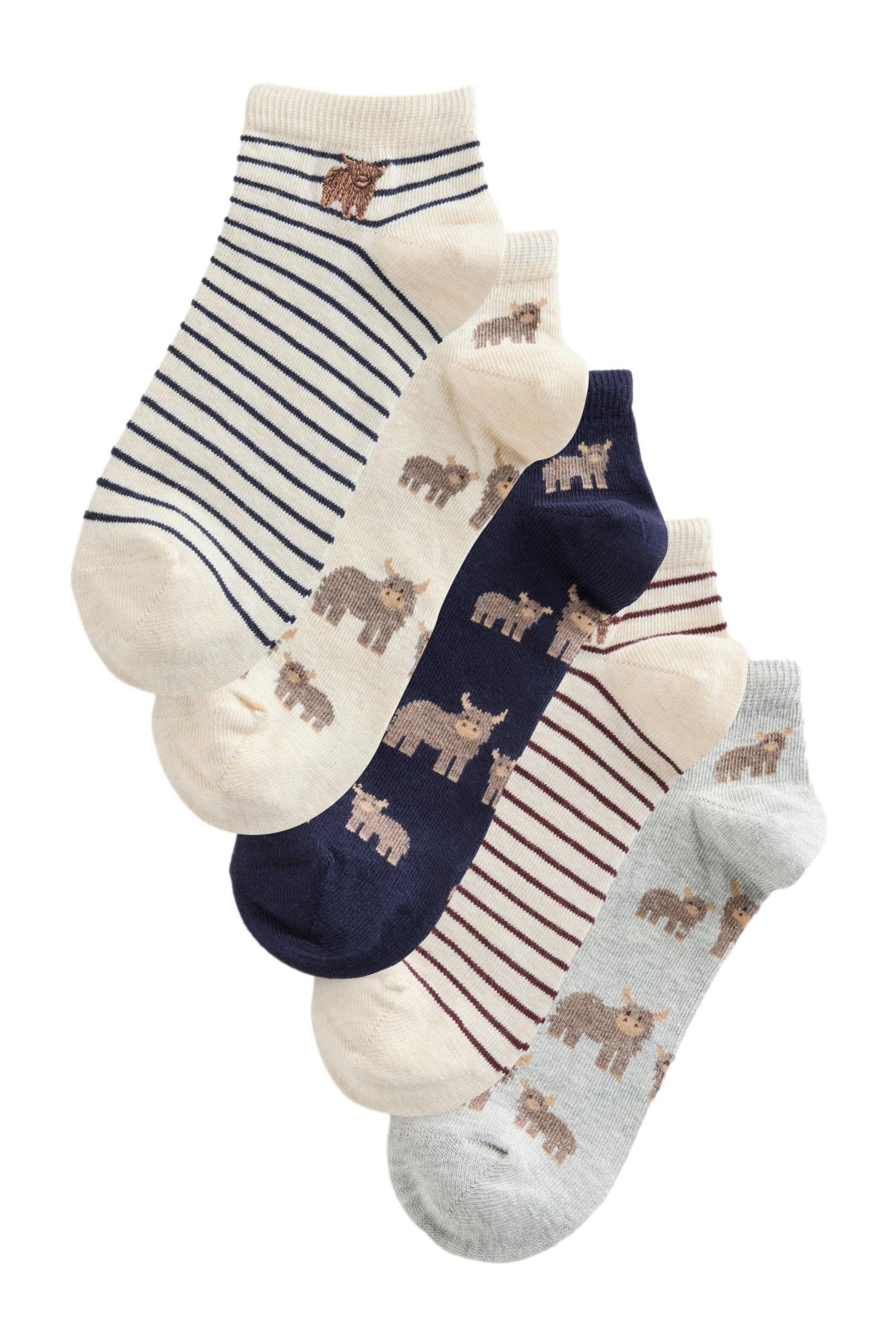 Next Basicsocken 5er-Pack Sneakersocken, Hochlandrind Hamish (5-Paar)