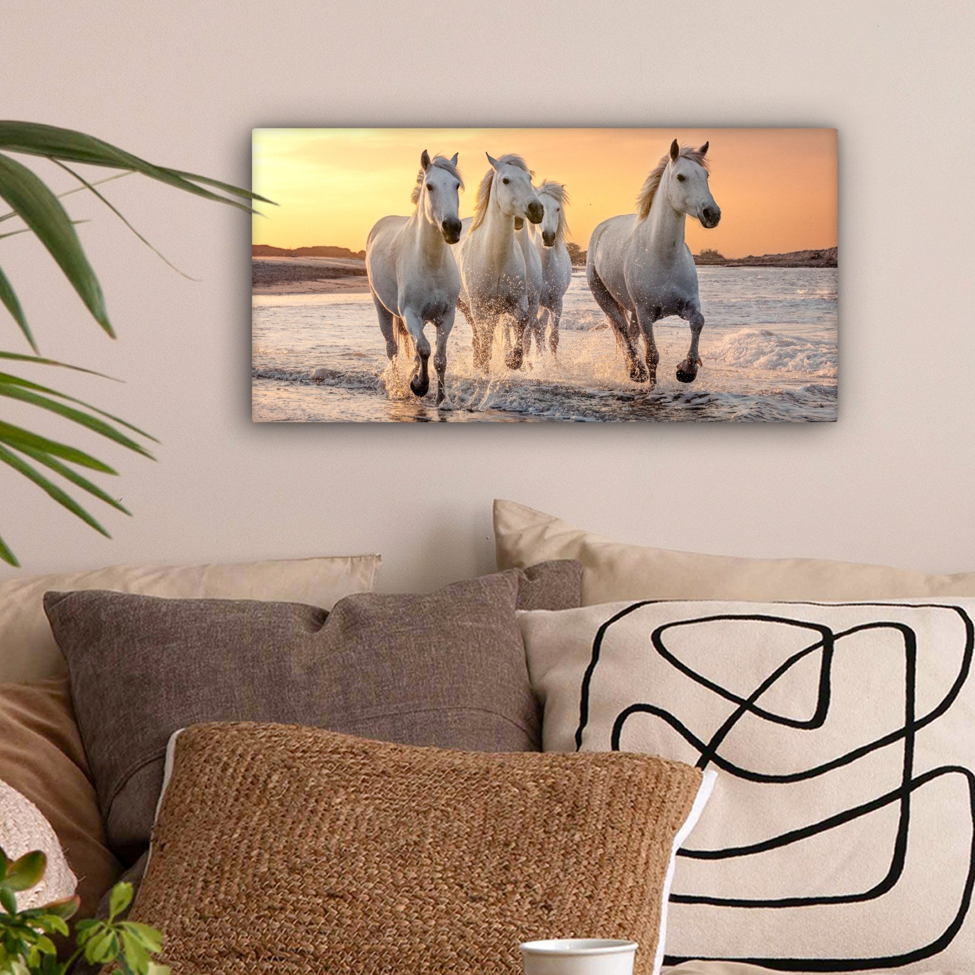 OneMillionCanvasses® Leinwandbild Panorama Pferde - Sonne günstig online kaufen