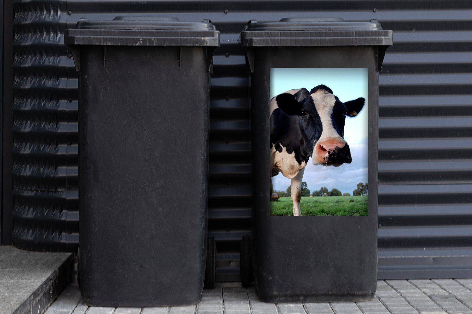 (1 Tiere Wandsticker Container, St), Mülleimer-aufkleber, Gras Bauernhof MuchoWow - Kuh Sticker, - - Mülltonne, Abfalbehälter