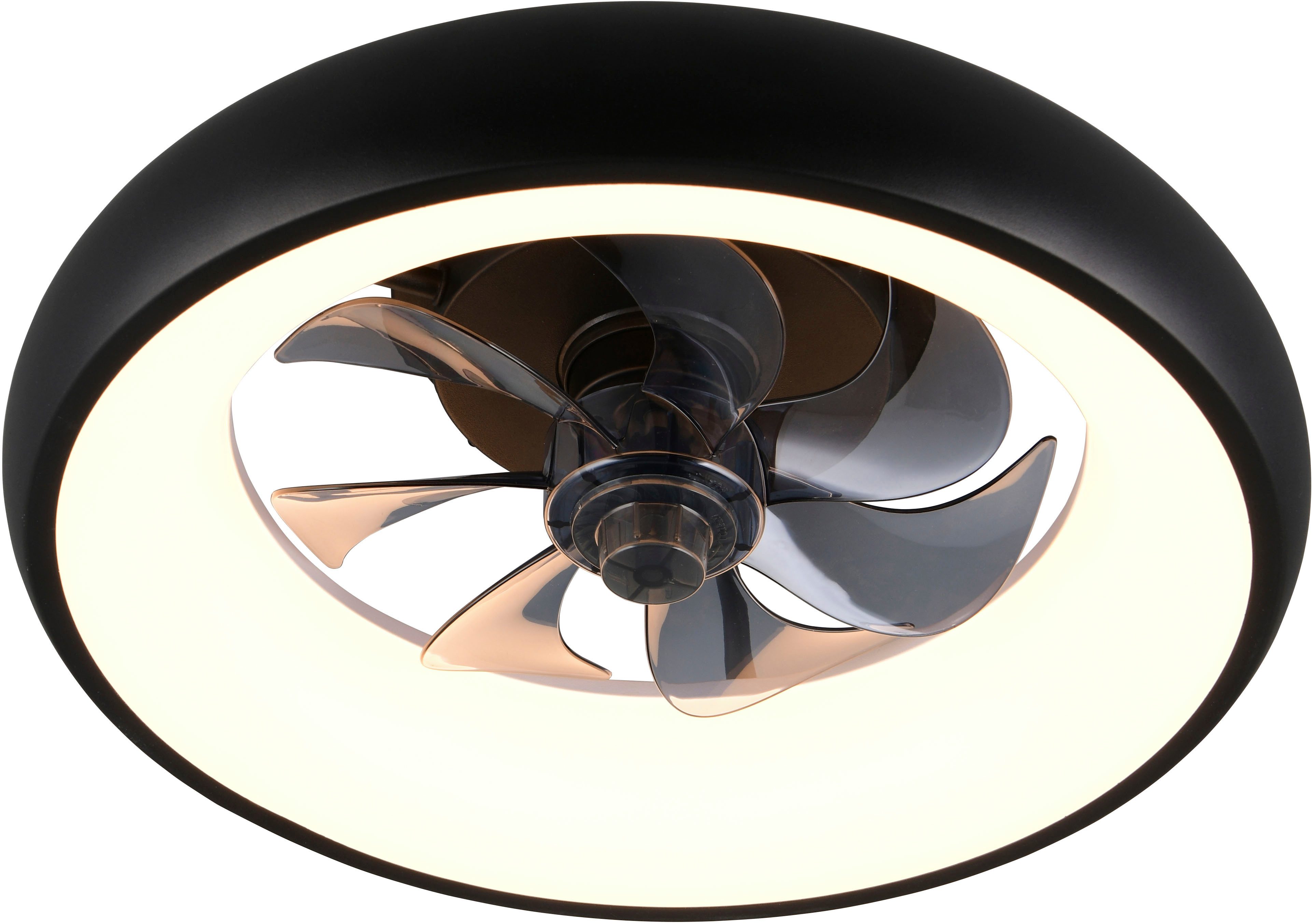 Reality Leuchten LED Deckenleuchte MUONIO mit Ventilator, Deckenventilator mit Licht, 20W LED CCT Ø 40cm, CCT - über Fernbedienung, Dimmfunktion, Fernbedienung, Infrarot inkl., Memoryfunktion, Nachtlichtfunktion, Timerfunktion, Ventilatorfunktion, getrennt schaltbar, LED fest integriert, Farbwechsler, warmweiß - kaltweiß, Fernbedienung 3 Geschwindigkeiten Timer Vor- & Rücklauf dimmbar