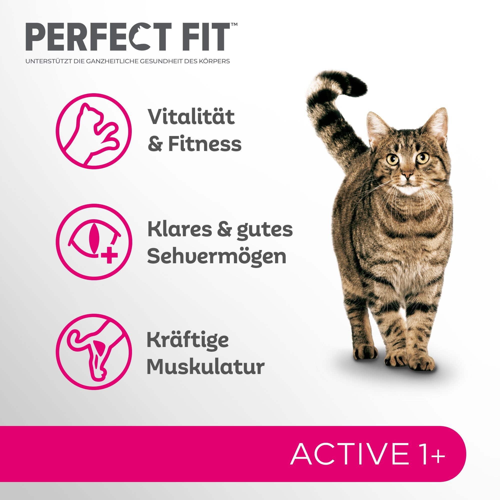 Perfect Fit PERFECT FIT™ Katze Beutel Active 1+ mit Rind 7kg, Trockenfutter für: Katze