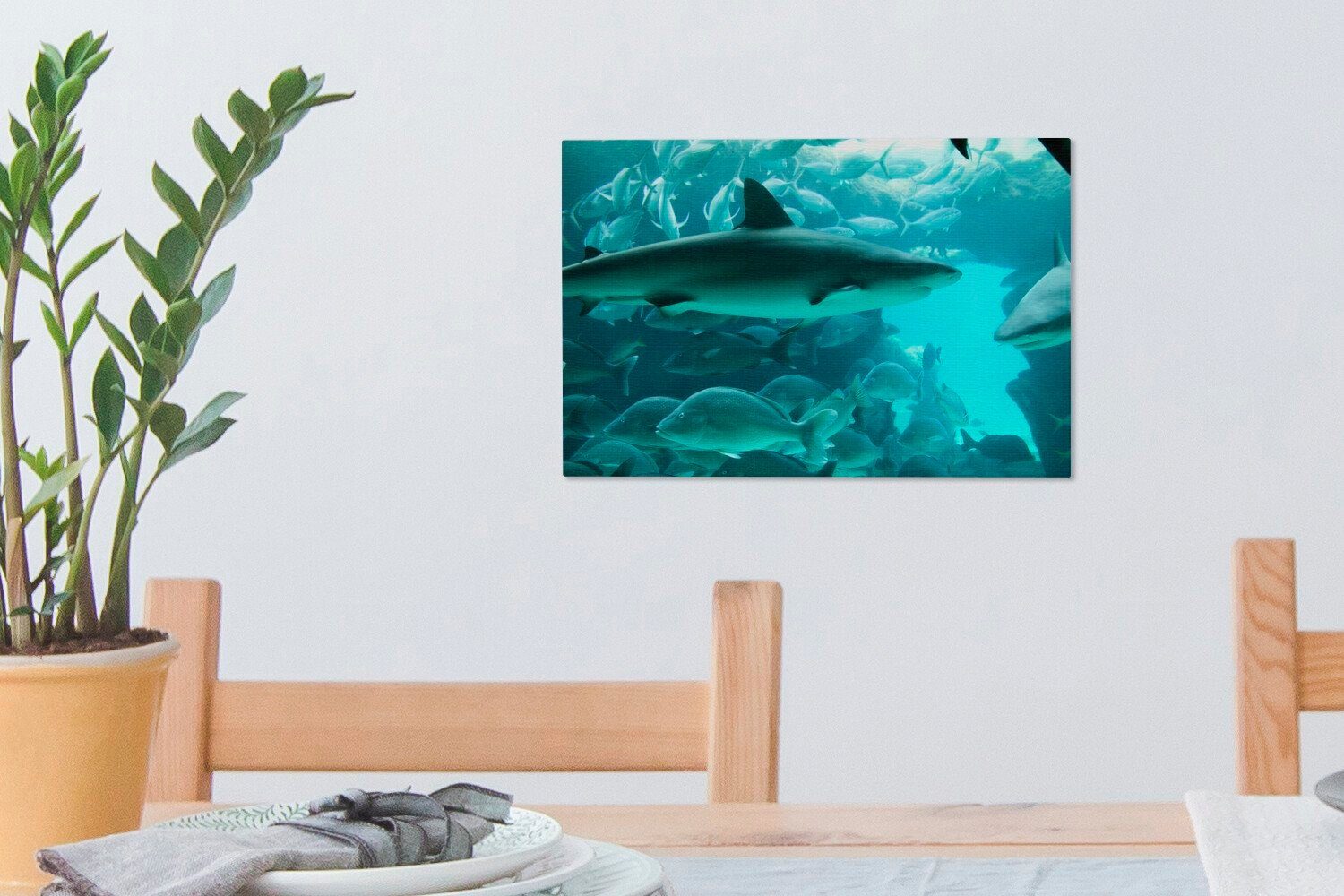 OneMillionCanvasses® Leinwandbild Großer Hai Wandbild St), in Aquarium, einem (1 Wanddeko, Aufhängefertig, Leinwandbilder, 30x20 cm