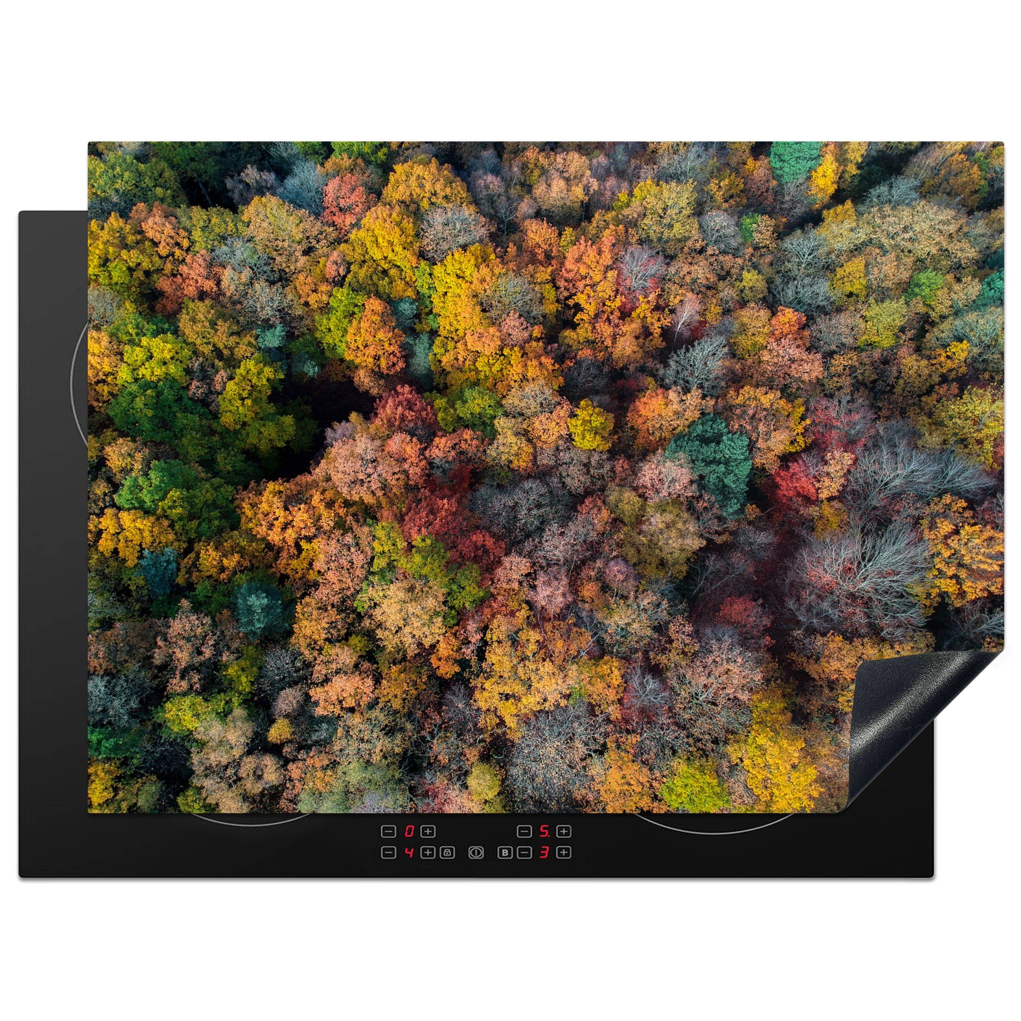 MuchoWow Herdblende-/Abdeckplatte Wald - Baum - Herbst, Vinyl, (1 tlg), 71x52 cm, Induktionskochfeld Schutz für die küche, Ceranfeldabdeckung
