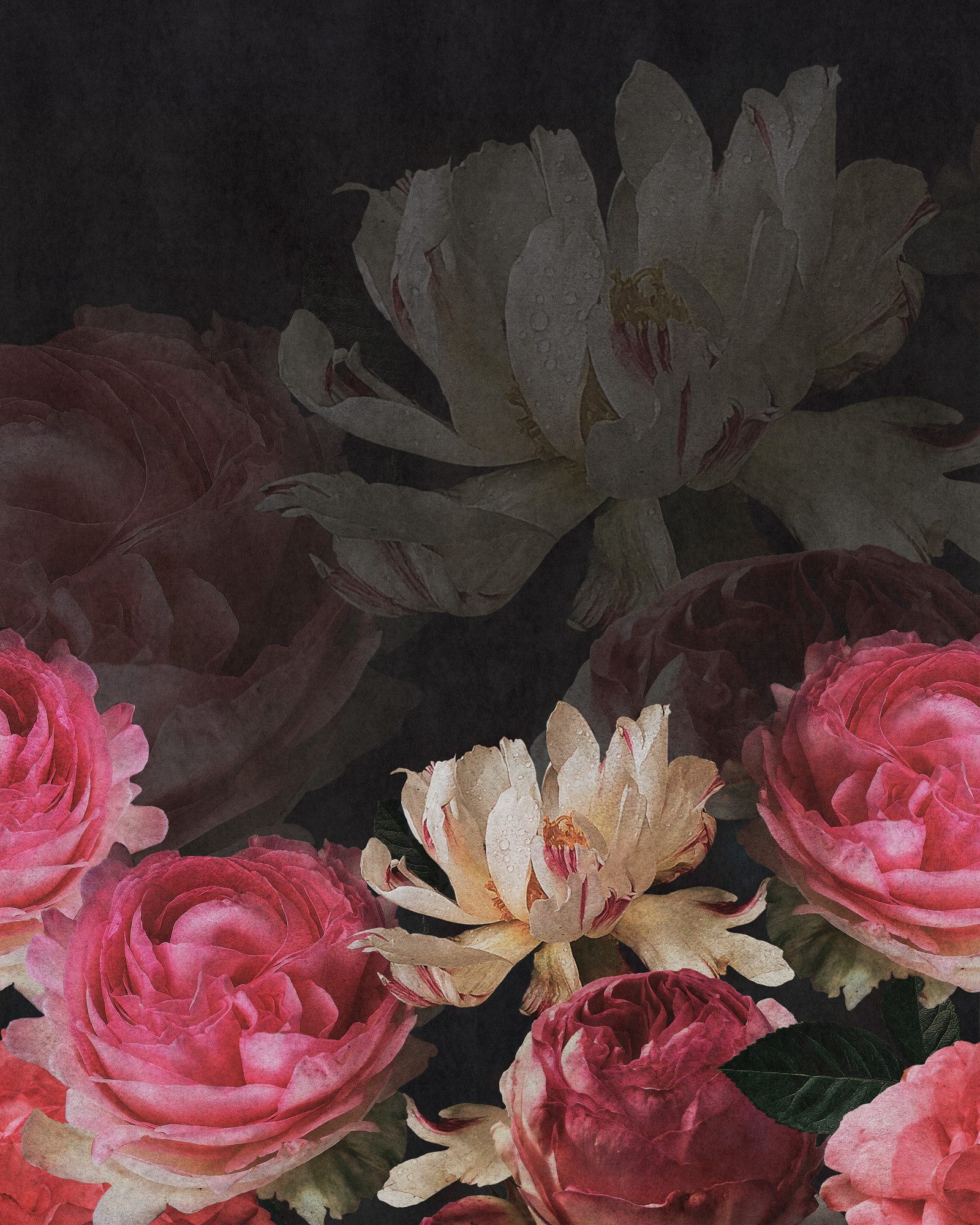 Rasch Fototapete Rosen Blüten - Vliestapete Schwarz Pink, floral, überstreichbar, (1 Rolle, 1 St., Kollektion 'Magicwalls' - 2,65 m x 2,12 m), Lichtbeständige Farben - Feucht abwischbar - Restlost abziehbar