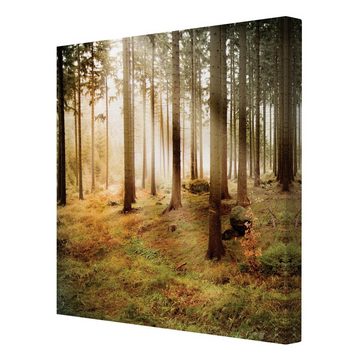 Bilderdepot24 Leinwandbild Wald Natur Modern Morning Forest grün braun Bild auf Leinwand XXL, Bild auf Leinwand; Leinwanddruck in vielen Größen