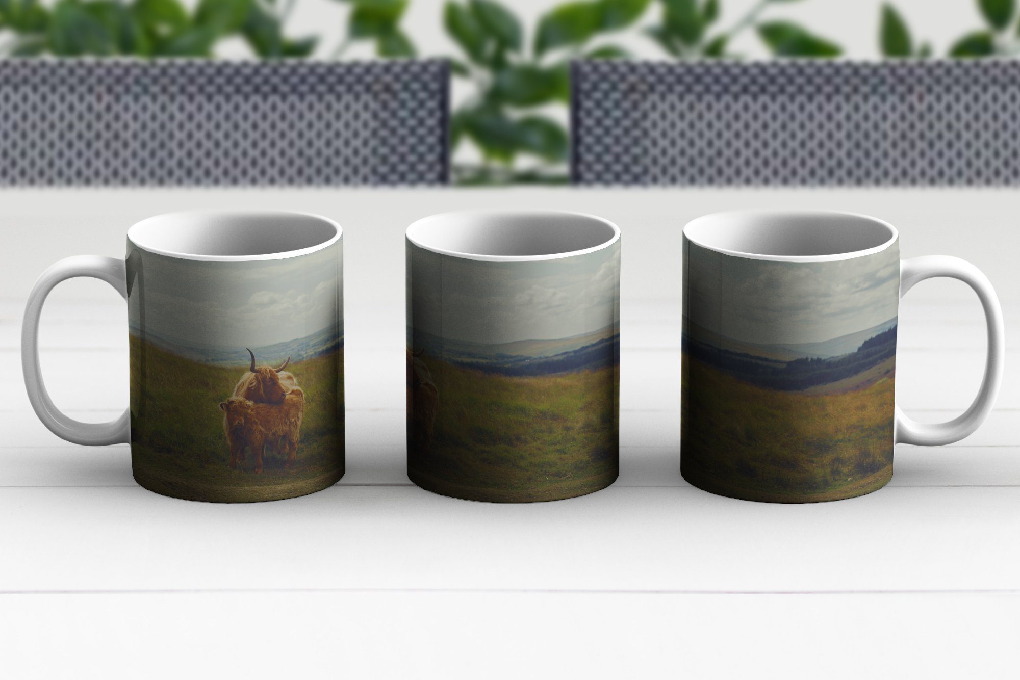 - Teetasse, Tiere, Kaffeetassen, Schottische Keramik, MuchoWow Teetasse, - Gras Geschenk Highlander Tasse Wolken Becher, -