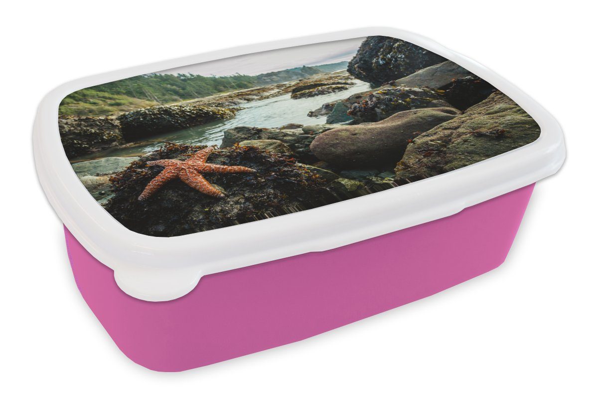 MuchoWow Lunchbox Meer - Steine - Seesterne, Kunststoff, (2-tlg), Brotbox für Erwachsene, Brotdose Kinder, Snackbox, Mädchen, Kunststoff rosa