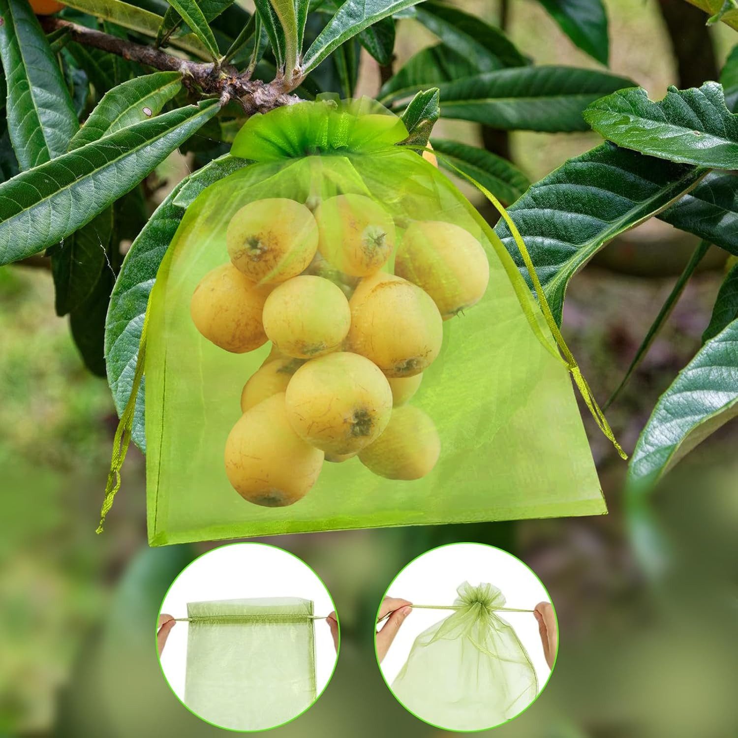 FELIXLEO Pflanzenschutzdach 50er Traubenschutzbeutel Grün 20x30cm, Organza Obstnetze mit Zugband – Bild 5 von 5