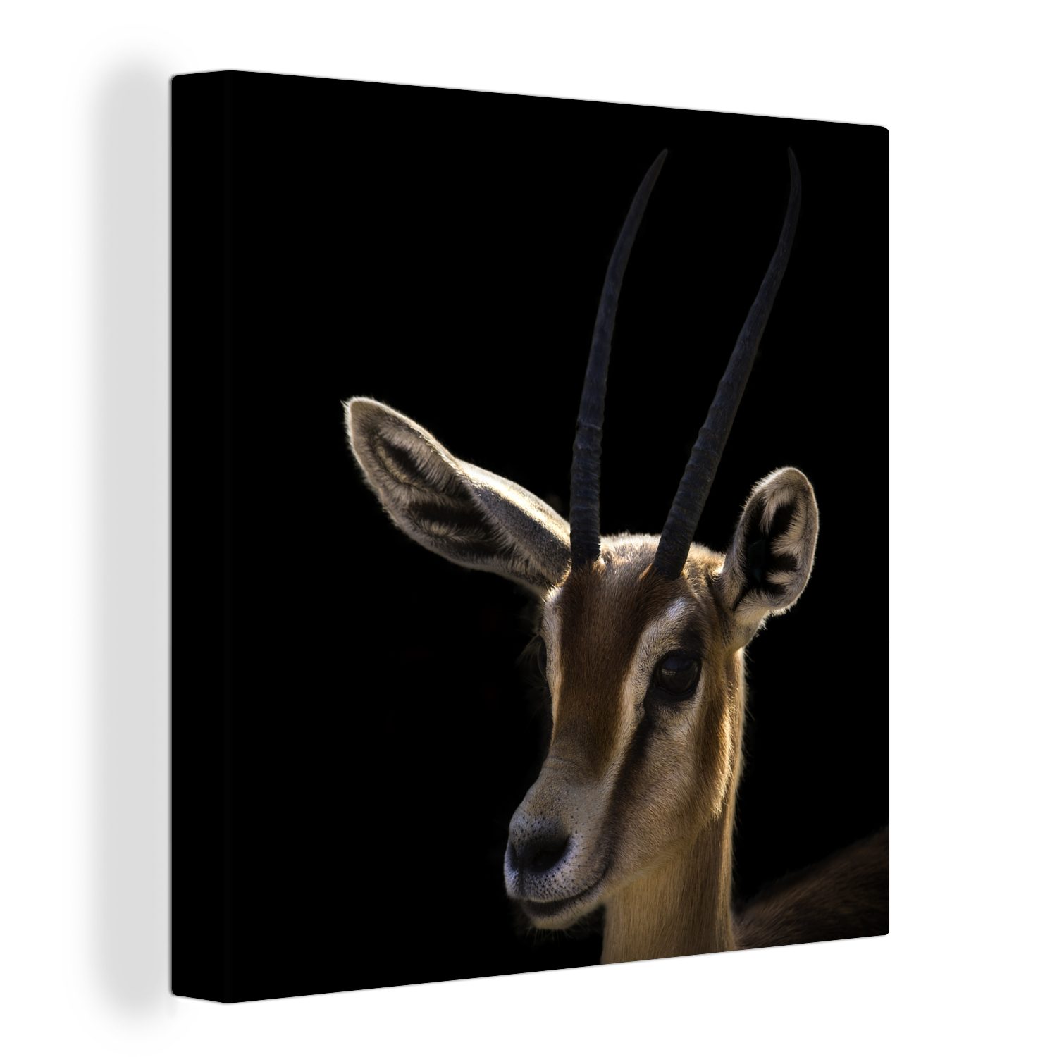 OneMillionCanvasses® Leinwandbild Gazelle - Schwarz - Tiere, (1 St), Leinwand Bilder für Wohnzimmer Schlafzimmer