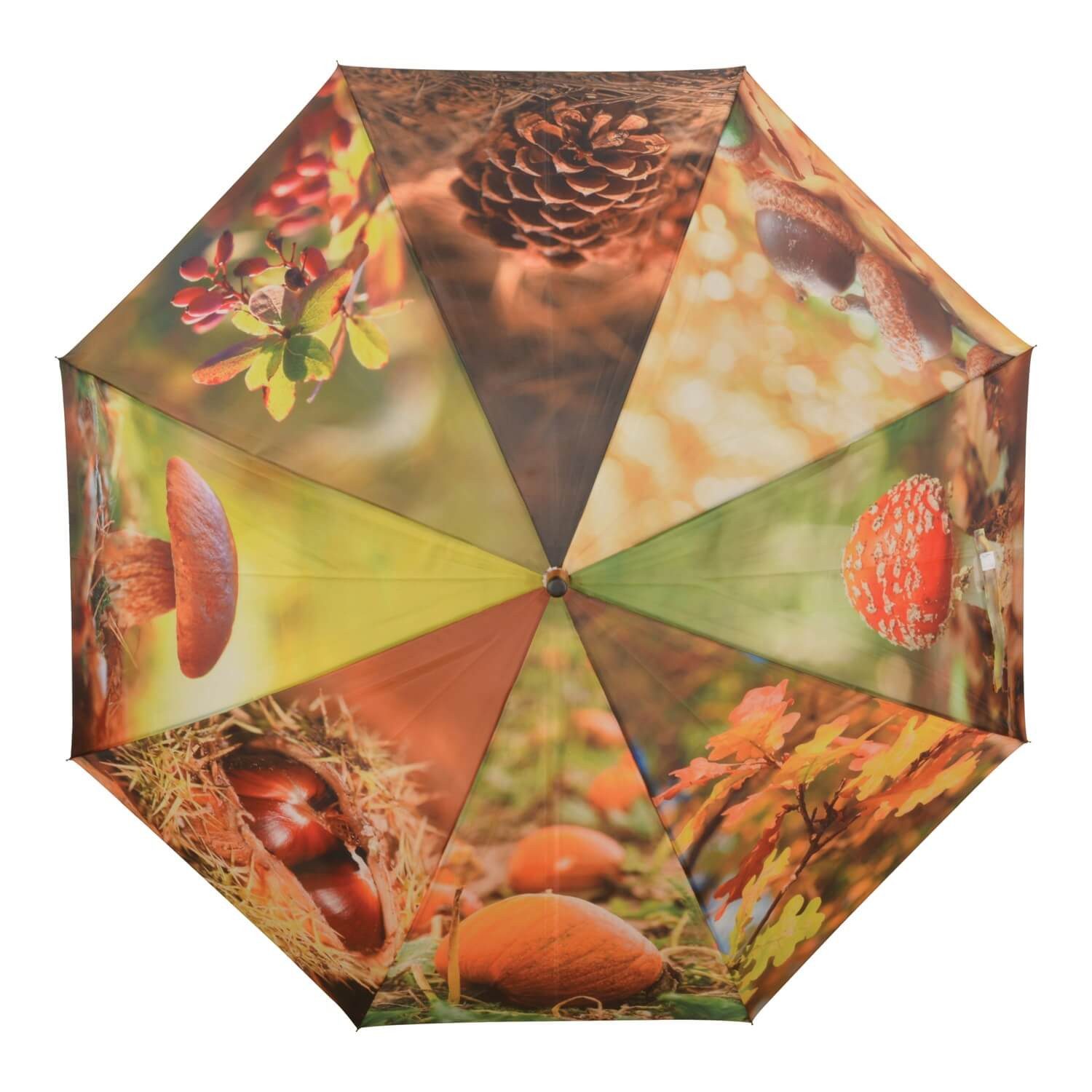 degawo Stockregenschirm Regenschirm mit HERBSTMOTIVE, automatischer günstig online kaufen