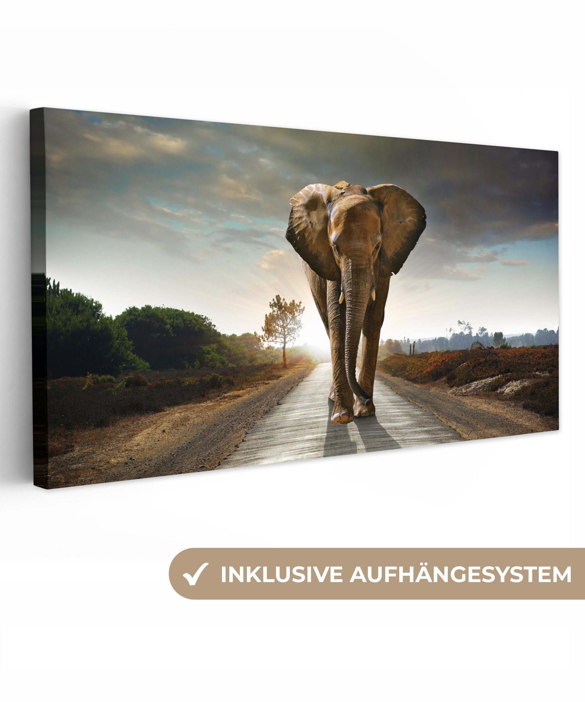 OneMillionCanvasses® Leinwandbild Panorama Elefant - Straße - Tiere - Sonne günstig online kaufen