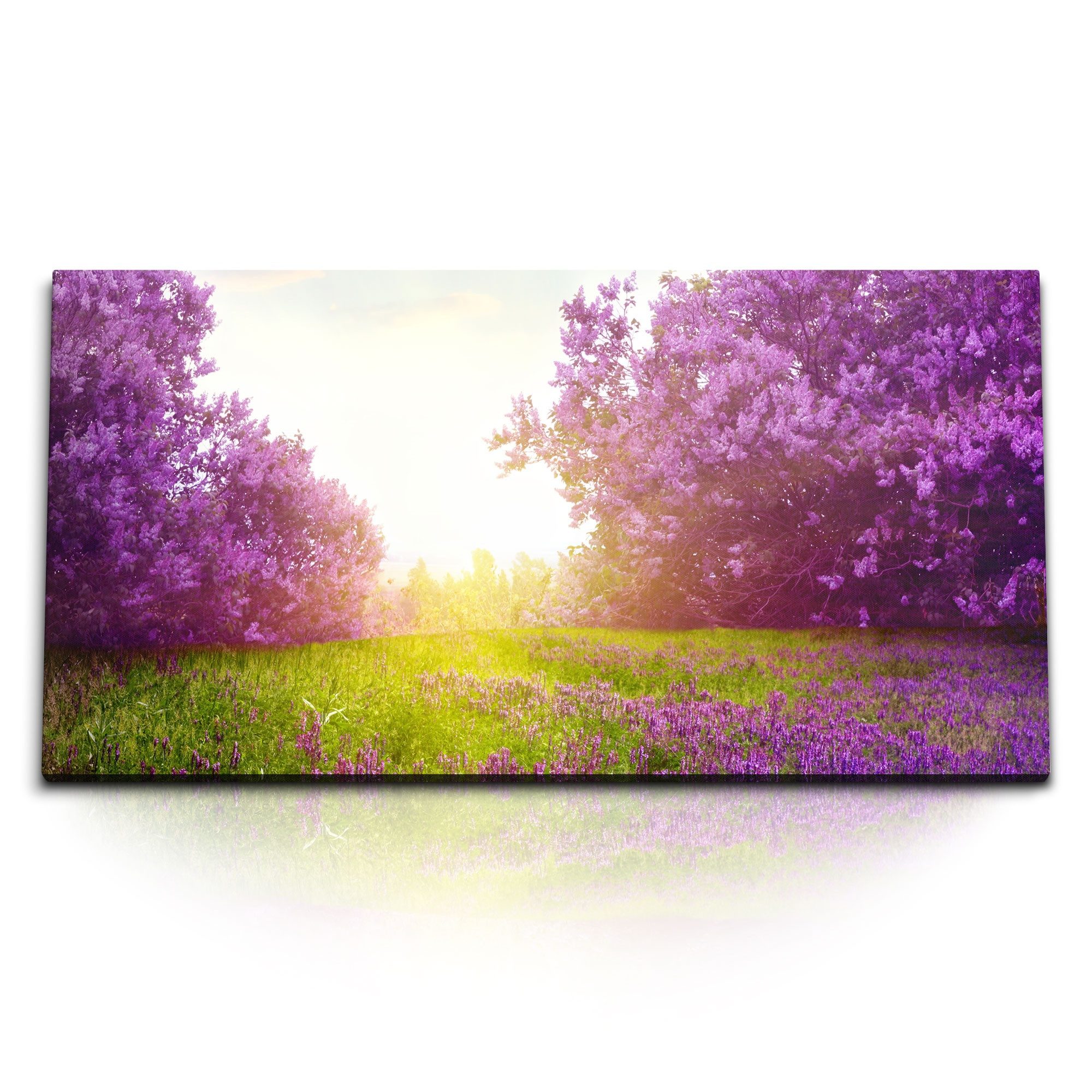 Leinwandbild Kunstdruck Bilder 120x60cm Violette Baumblüten Frühling Blüte Natur So