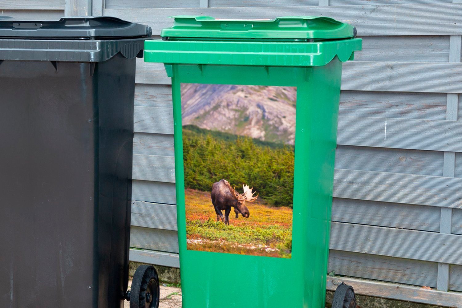 MuchoWow Wandsticker Ein Elch in St), Sticker, Mülleimer-aufkleber, einem Abfalbehälter Container, Mülltonne, (1 bewaldeten Gebiet