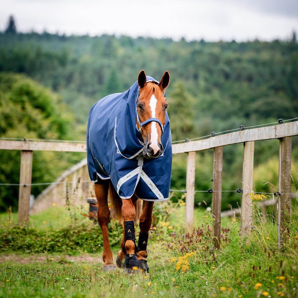 Horseware Pferde-Thermodecke Horseware Amigo Bravo 12 Plus Turnout Heavy 400g