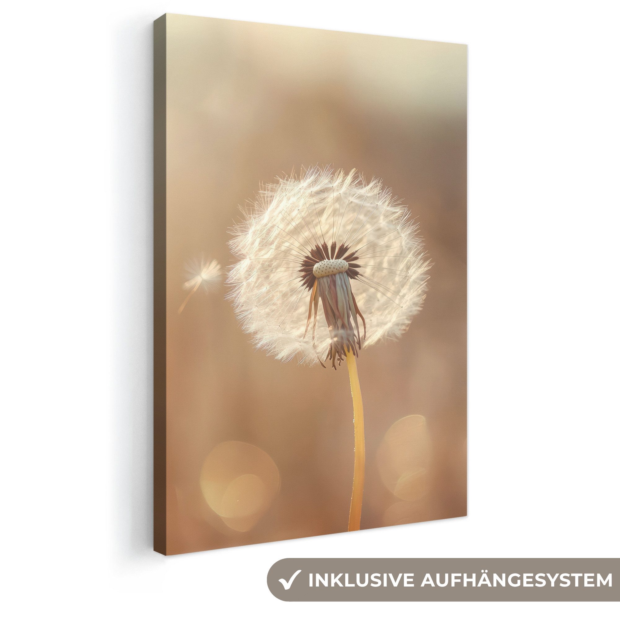 OneMillionCanvasses® Leinwandbild Löwenzahn - Beige - Natur - Blume, Fotodruck (1 St), Leinwand Canvas Wandbild, Wanddekoration 20x30 cm