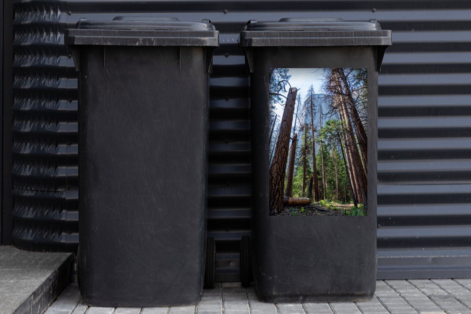 Container, St), Mülltonne, Abfalbehälter Bäume Wandsticker Die Yosemite-Nationalpark im hohen Mülleimer-aufkleber, MuchoWow (1 Sticker,