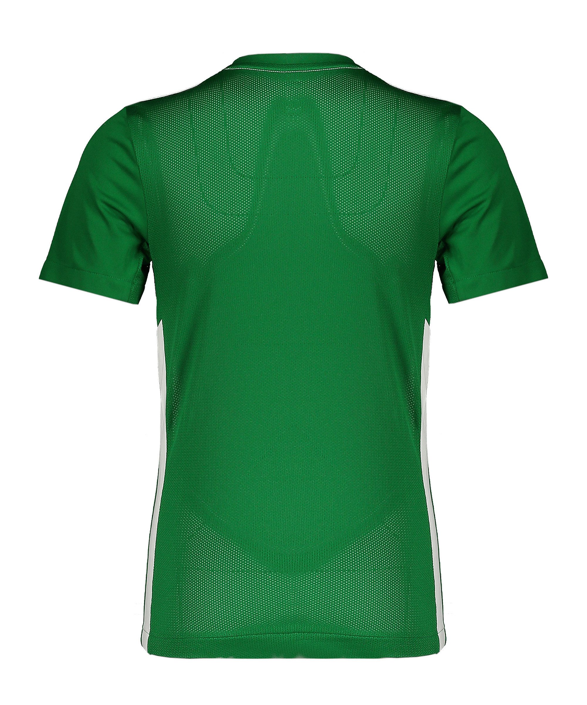 Nike Fußballtrikot Nike Performance Park Derby IV Trikot Kids Teamsport – Bild 2 von 3