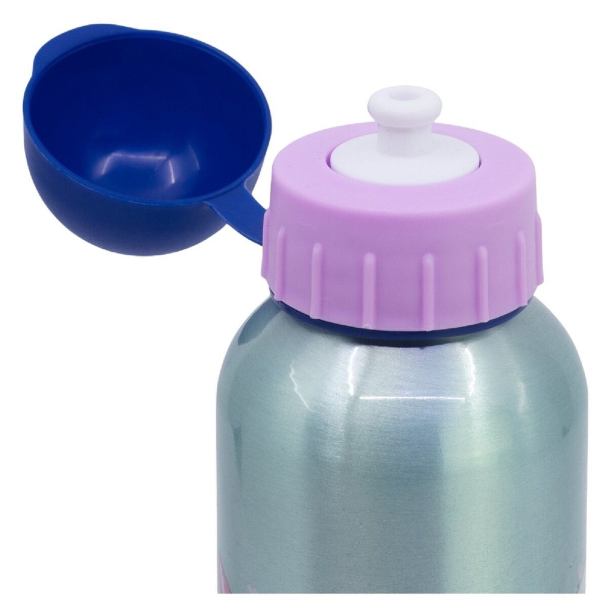 Disney Trinkflasche Disney Frozen Trinkflasche Aluminium, 530ml, mit Sicherheitsverschluss