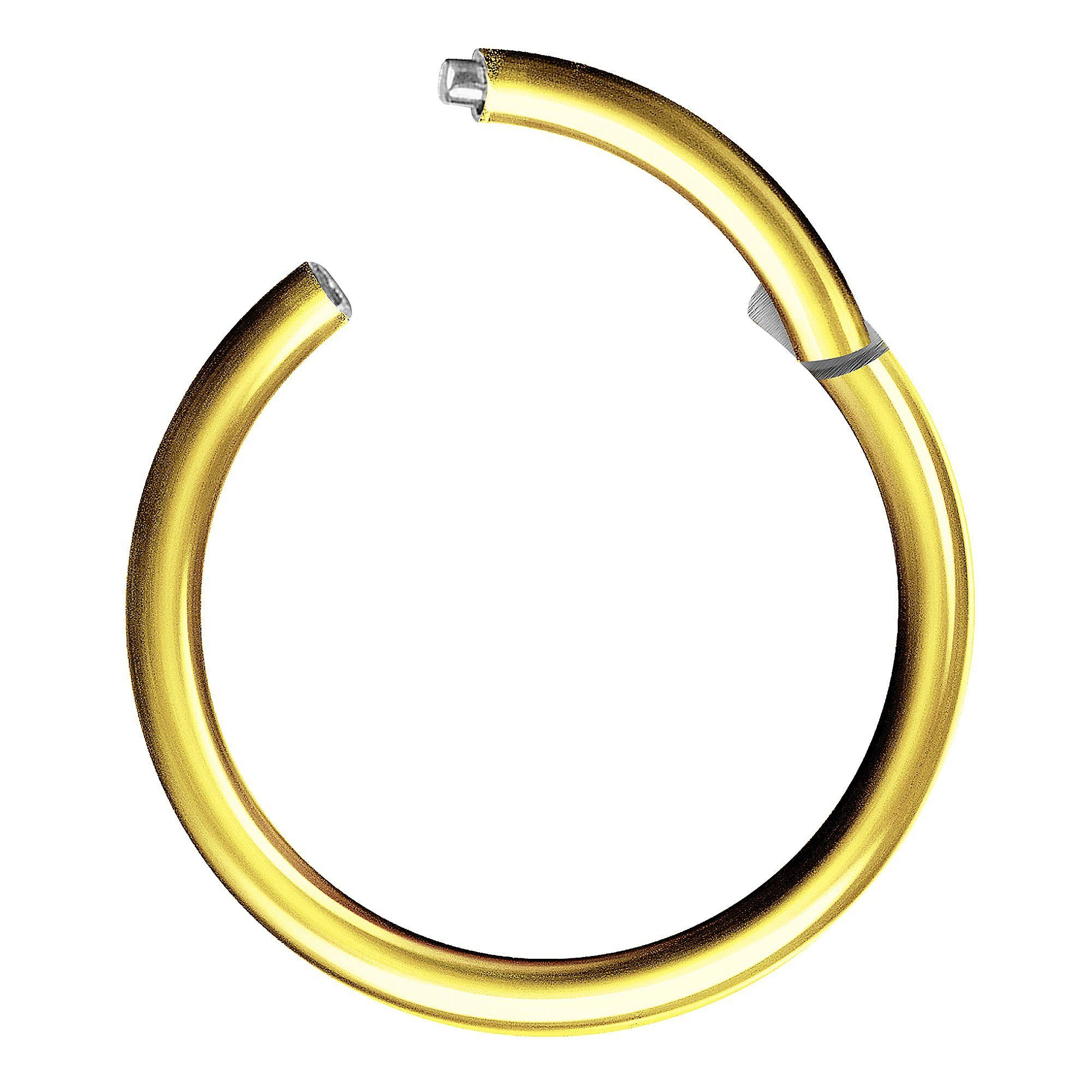 Taffstyle Nasenpiercing Clicker Ohr Universal Piercing Titan G23 oder Chirurgenstahl (Vielseitiger Segmentring aus Titan oder Chirurgenstahl in vielen Farben und Größen), Scharnier Klicker für Septum Ohr Nase Lippe