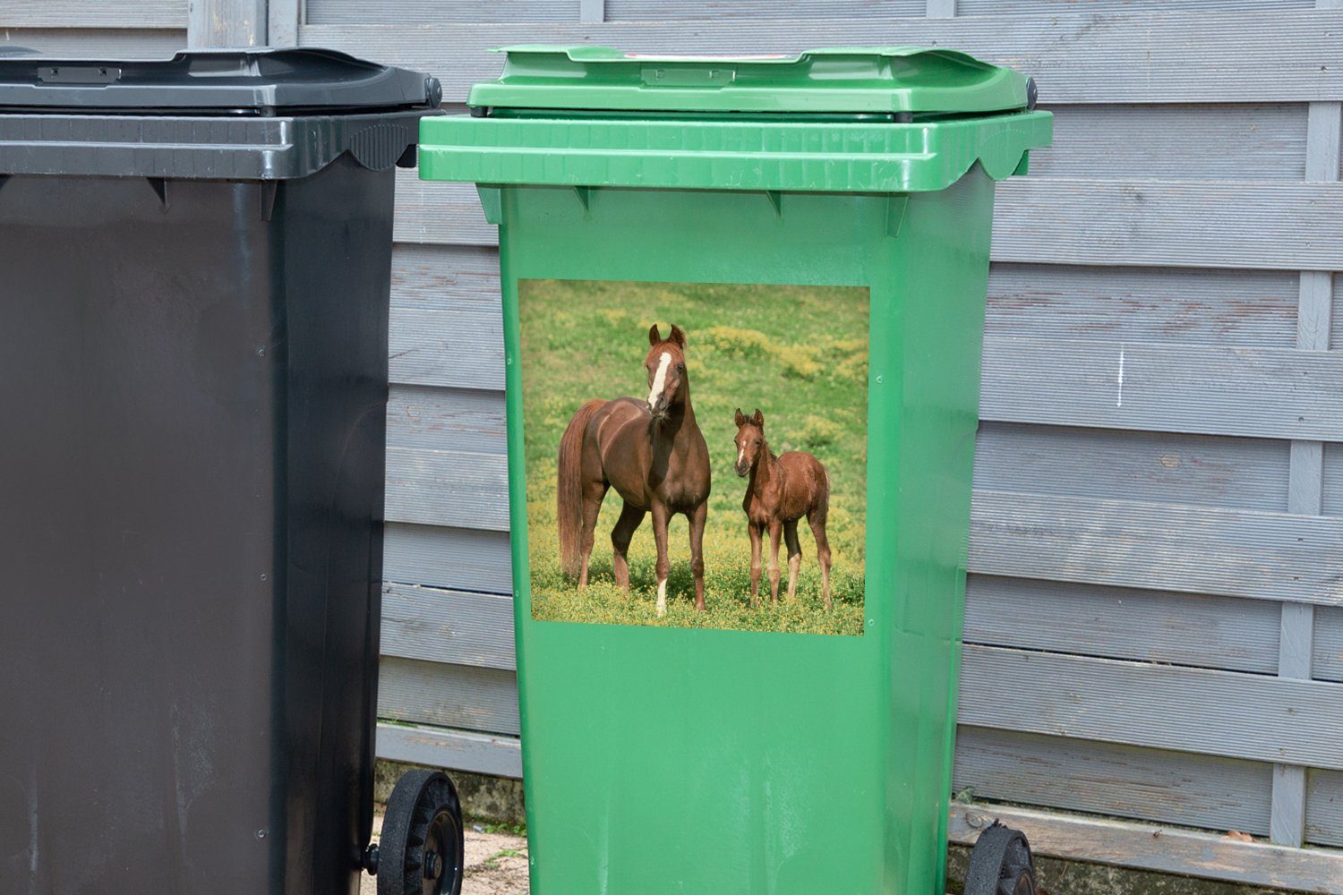 (1 Abfalbehälter Container, St), - Mülleimer-aufkleber, MuchoWow Gras Sticker, Mülltonne, - Braun Pferde Wandsticker
