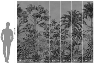 Komar Vliestapete Jungle Evolution, 350x280 cm (Breite x Höhe)
