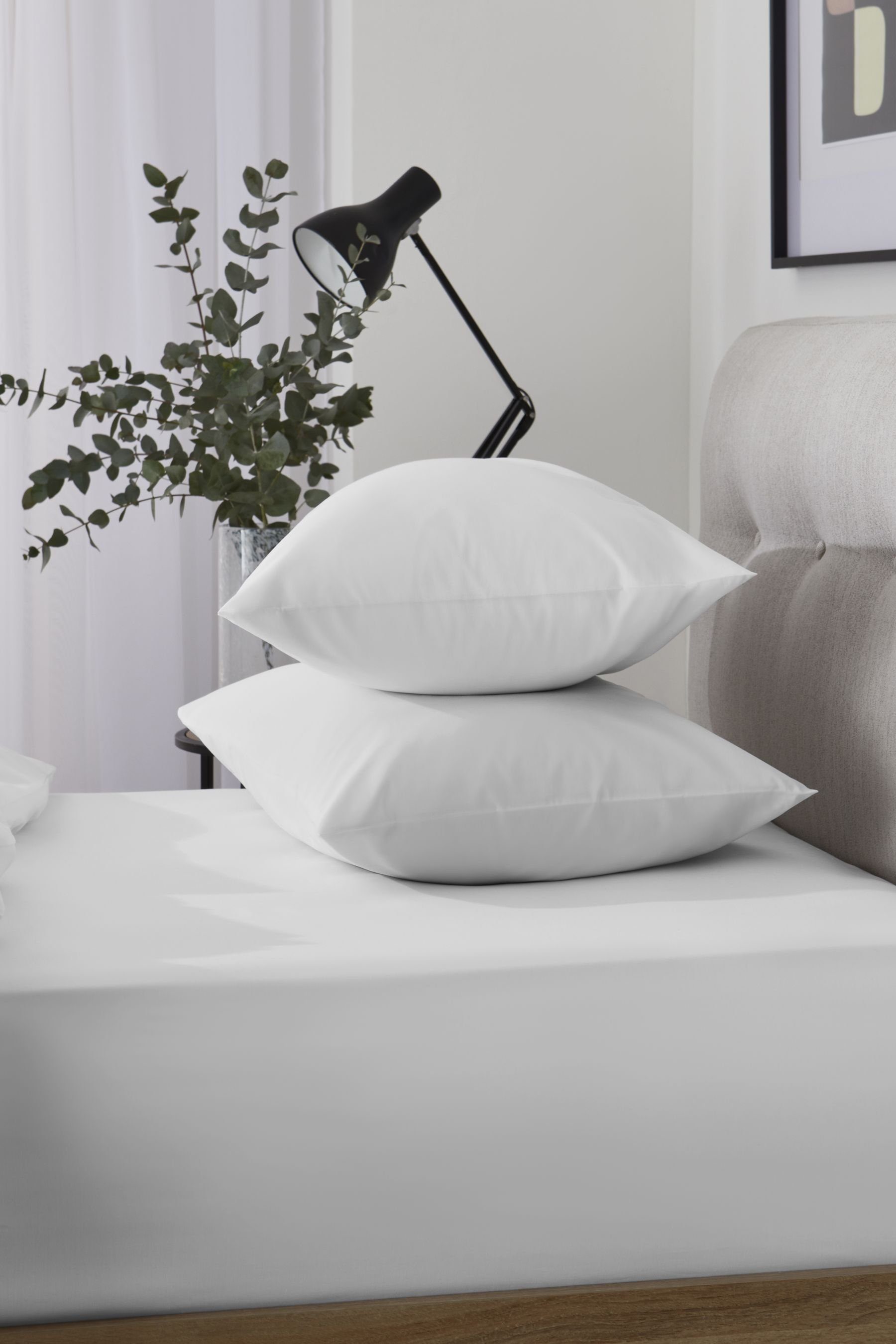 Next Spannbettlaken Laken aus kühlem TENCEL™, günstig online kaufen