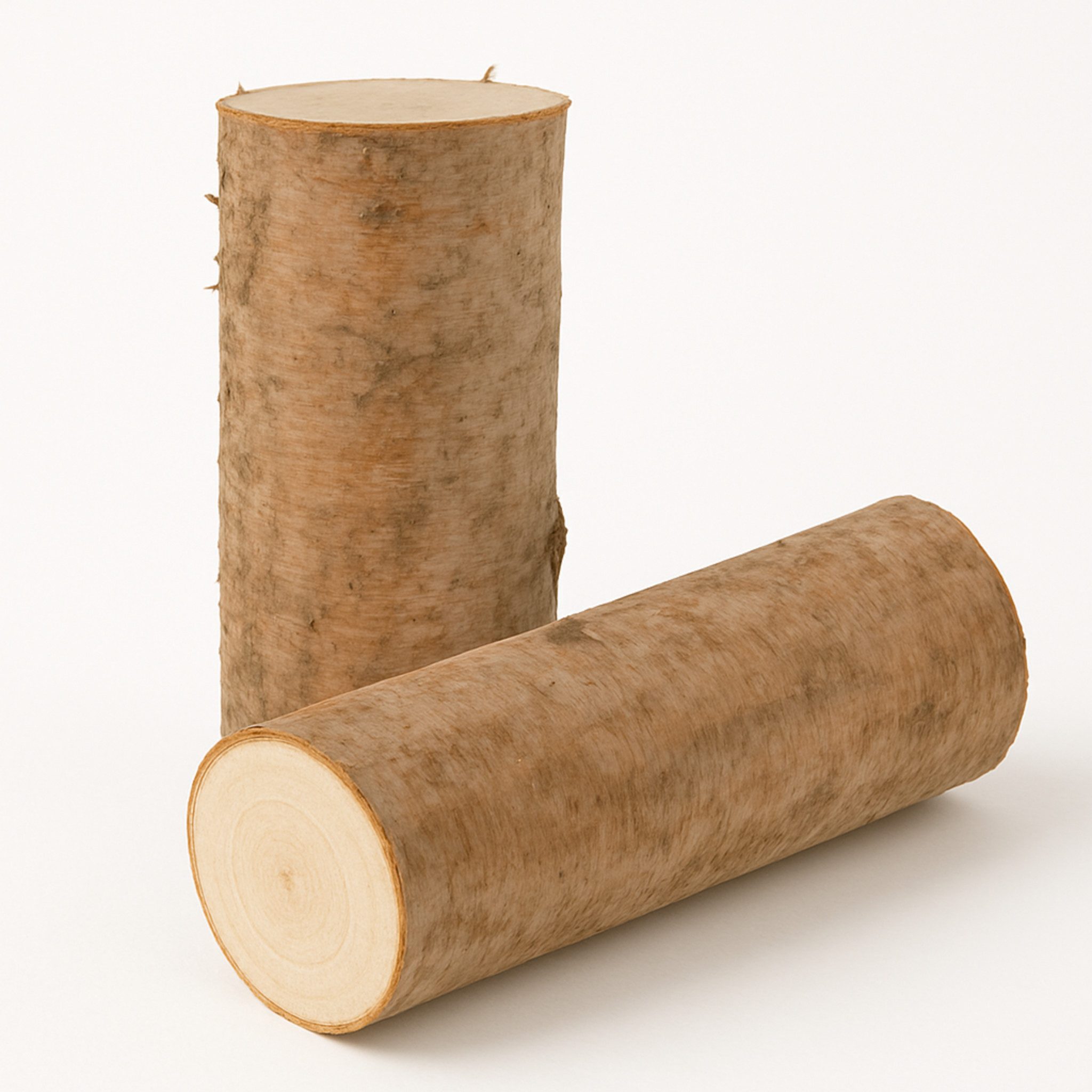 matches21 HOME & HOBBY Bastelnaturmaterial Runde Birkenstämmchen 12 x 30 cm als Holz-Deko Bastel-Holz, (2-tlg), Kleine Birken-Holz Baumstämme für Basteln und Dekorieren