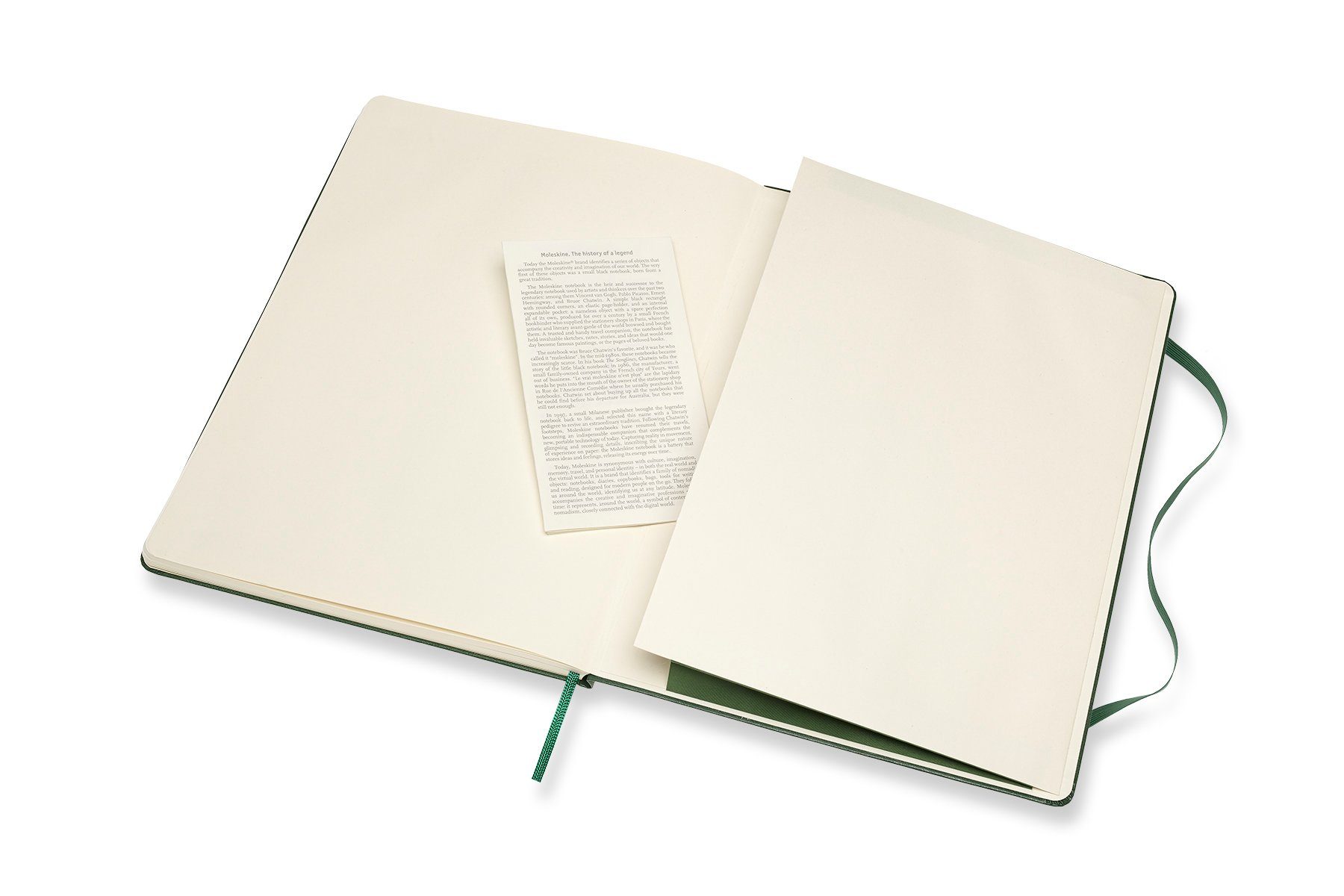 festem XL Collection Notizbuch, - mit 70g-Papier Myrtengrün - Einband Classic (19x25) MOLESKINE