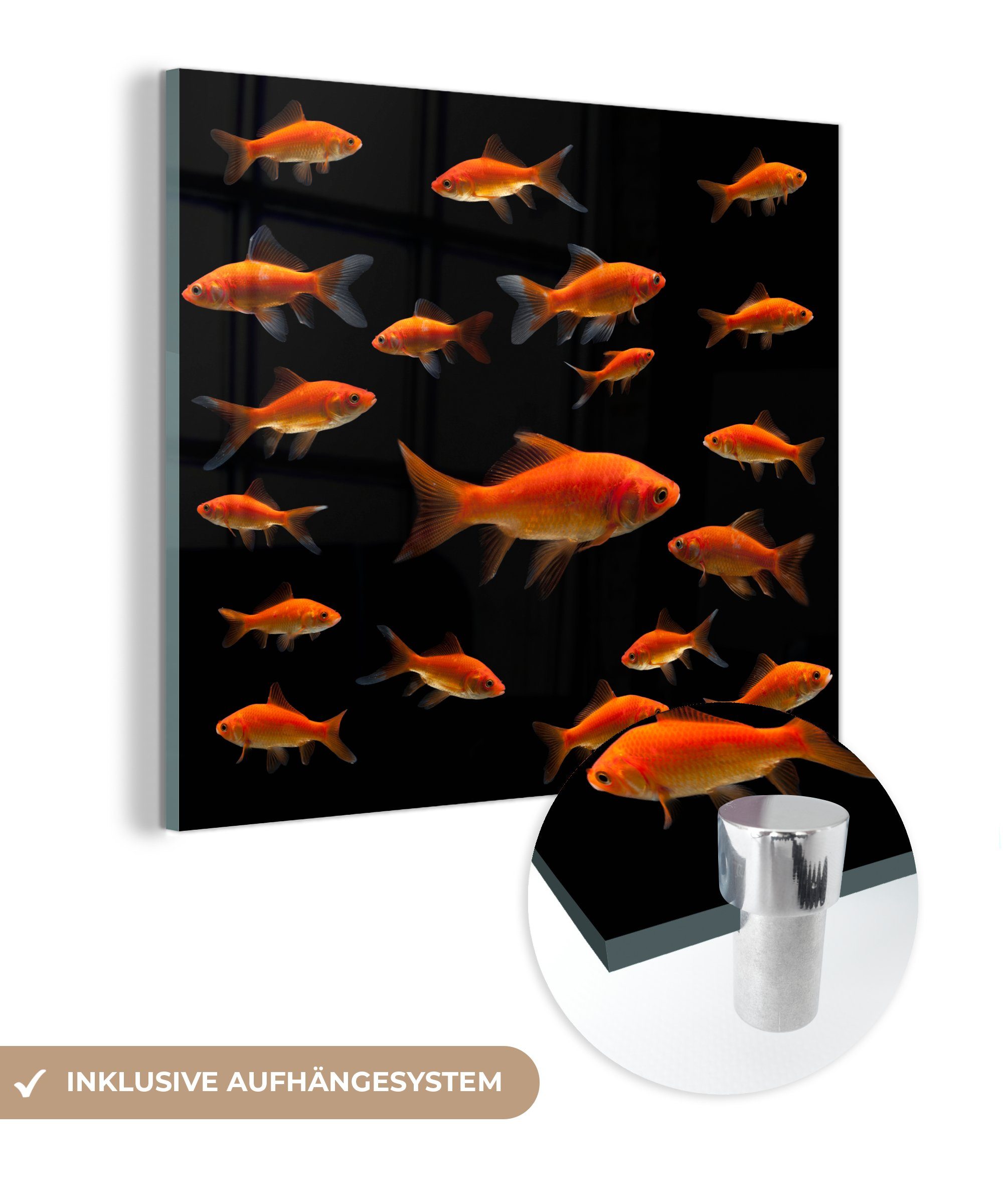 MuchoWow Acrylglasbild Goldfisch auf schwarzem Hintergrund, (1 St), Glasbilder - Bilder auf Glas Wandbild - Foto auf Glas - Wanddekoration