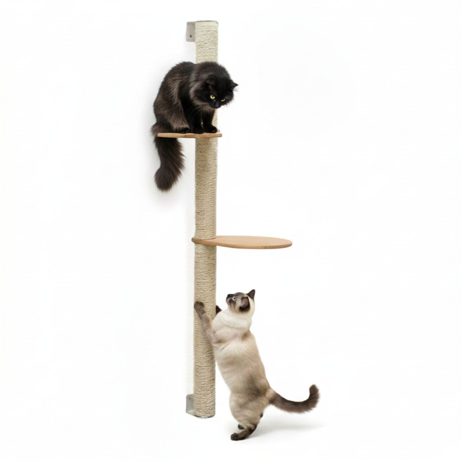 eyepower Kratzbaum zur Wandmontage-132 cm Wandkratzbaum für Katzen mit 2 Bambus Plateaus, Sistammstamm Wand - Katzenkratzbaum platzsparend - Kletterwand Katze