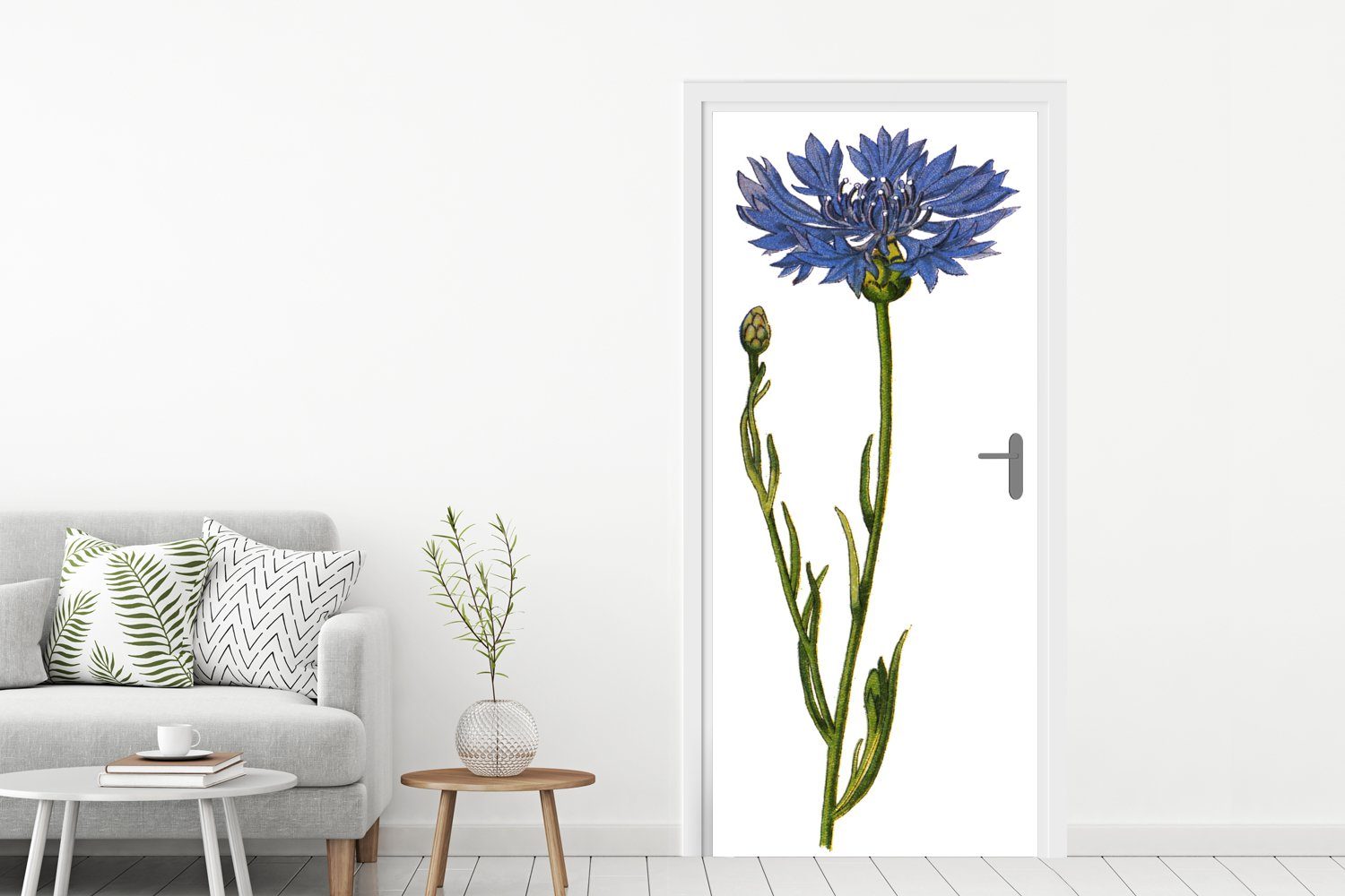 MuchoWow cm einer (1 Türaufkleber, Eine antike Türtapete Kornblume, 75x205 bedruckt, St), für Tür, Illustration Fototapete Matt,