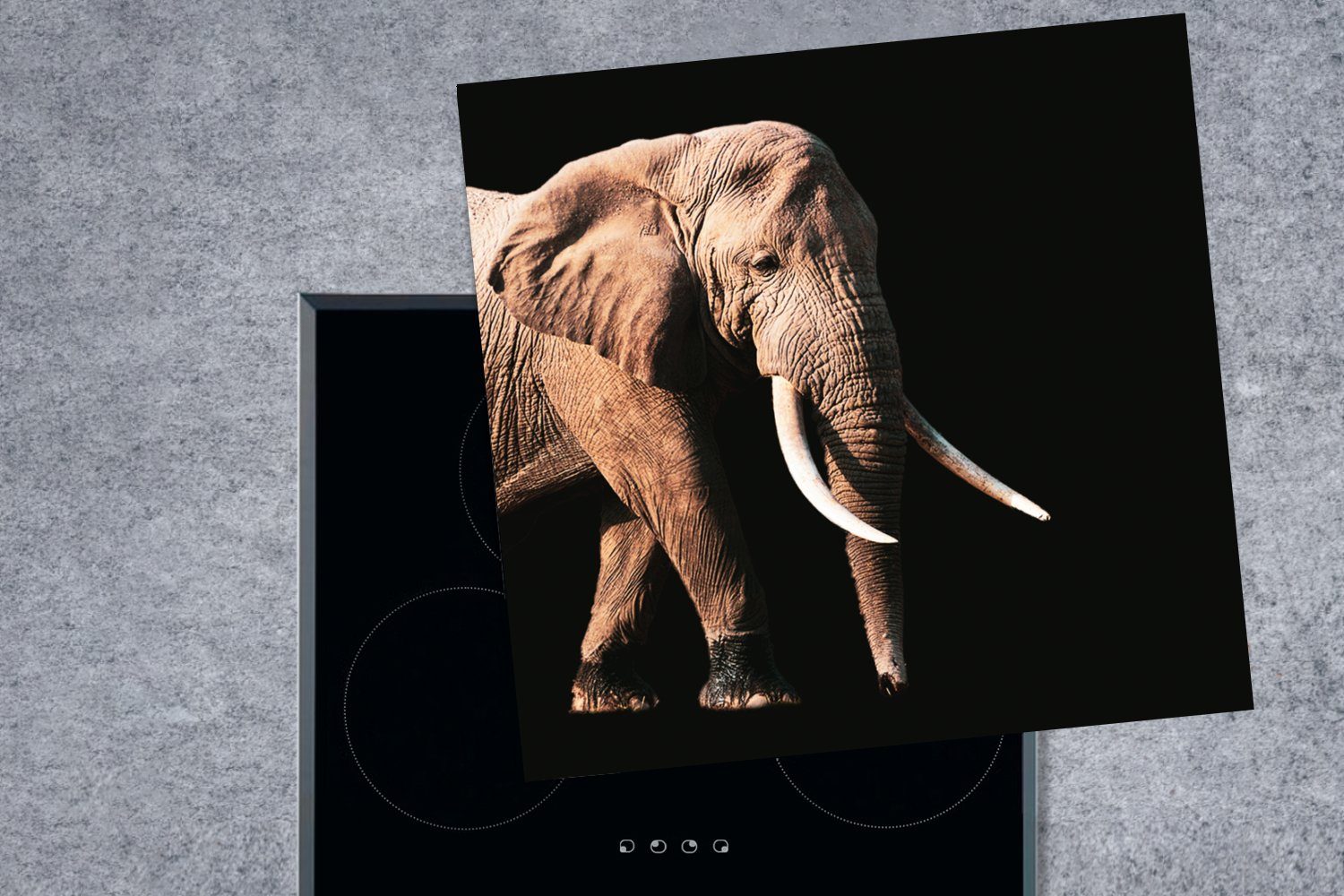 MuchoWow Herdblende-/Abdeckplatte Elefant (1 Vinyl, - 78x78 für Ceranfeldabdeckung, Tiere, cm, - Zähne Arbeitsplatte küche tlg)