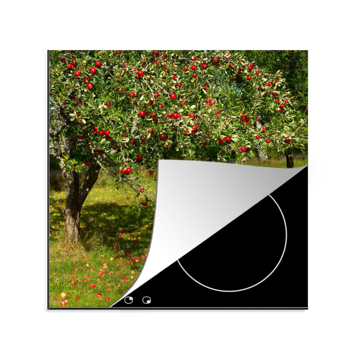 MuchoWow Herdblende-/Abdeckplatte Obst 78x78 (1 Arbeitsplatte Ceranfeldabdeckung, - Vinyl, cm, tlg), küche - Apfel, für Baum