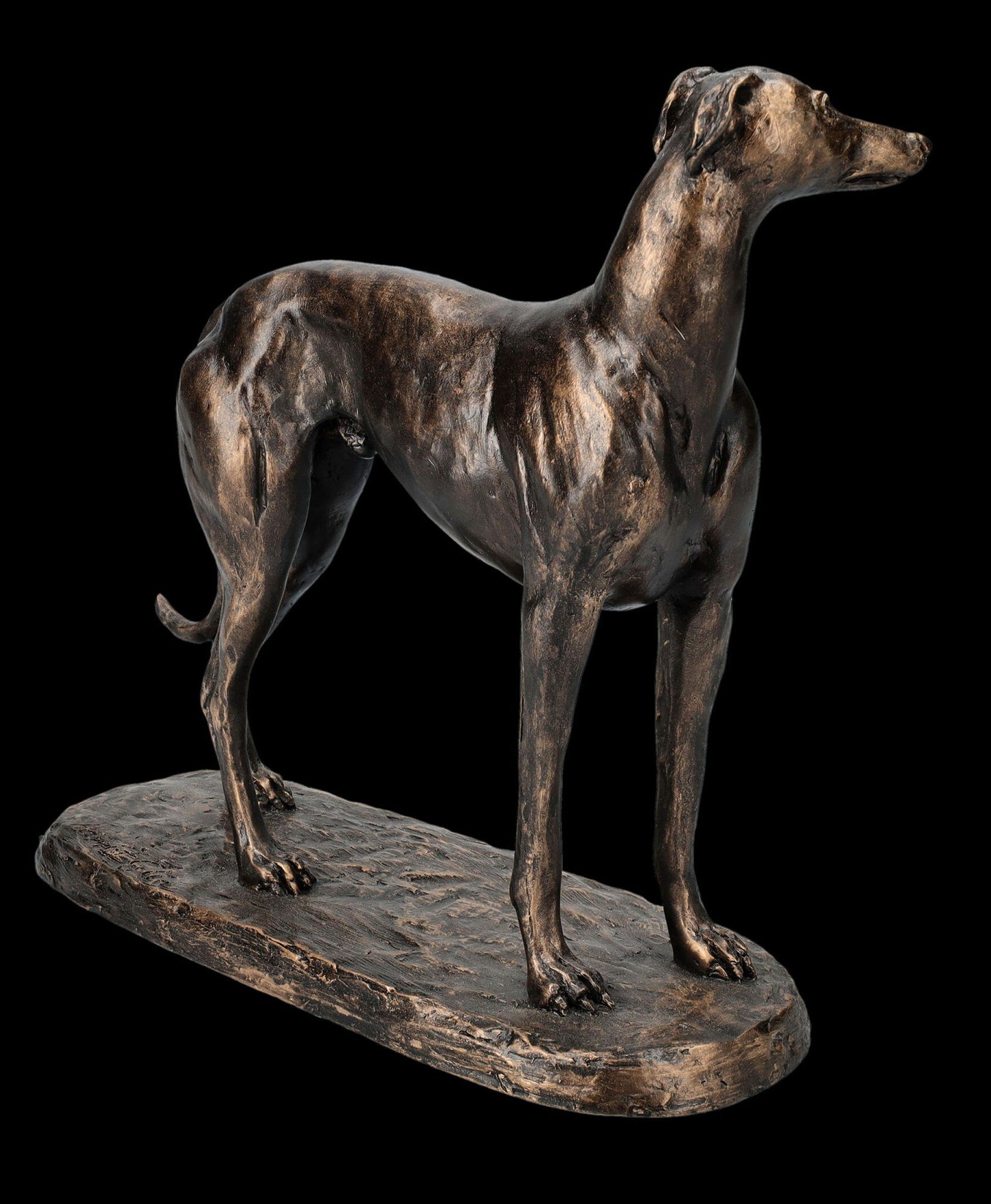 Shop der GmbH Tierfigur - Windhund Dekofigur Figuren Figur Greyhound Dekration - Gus Hundefigur