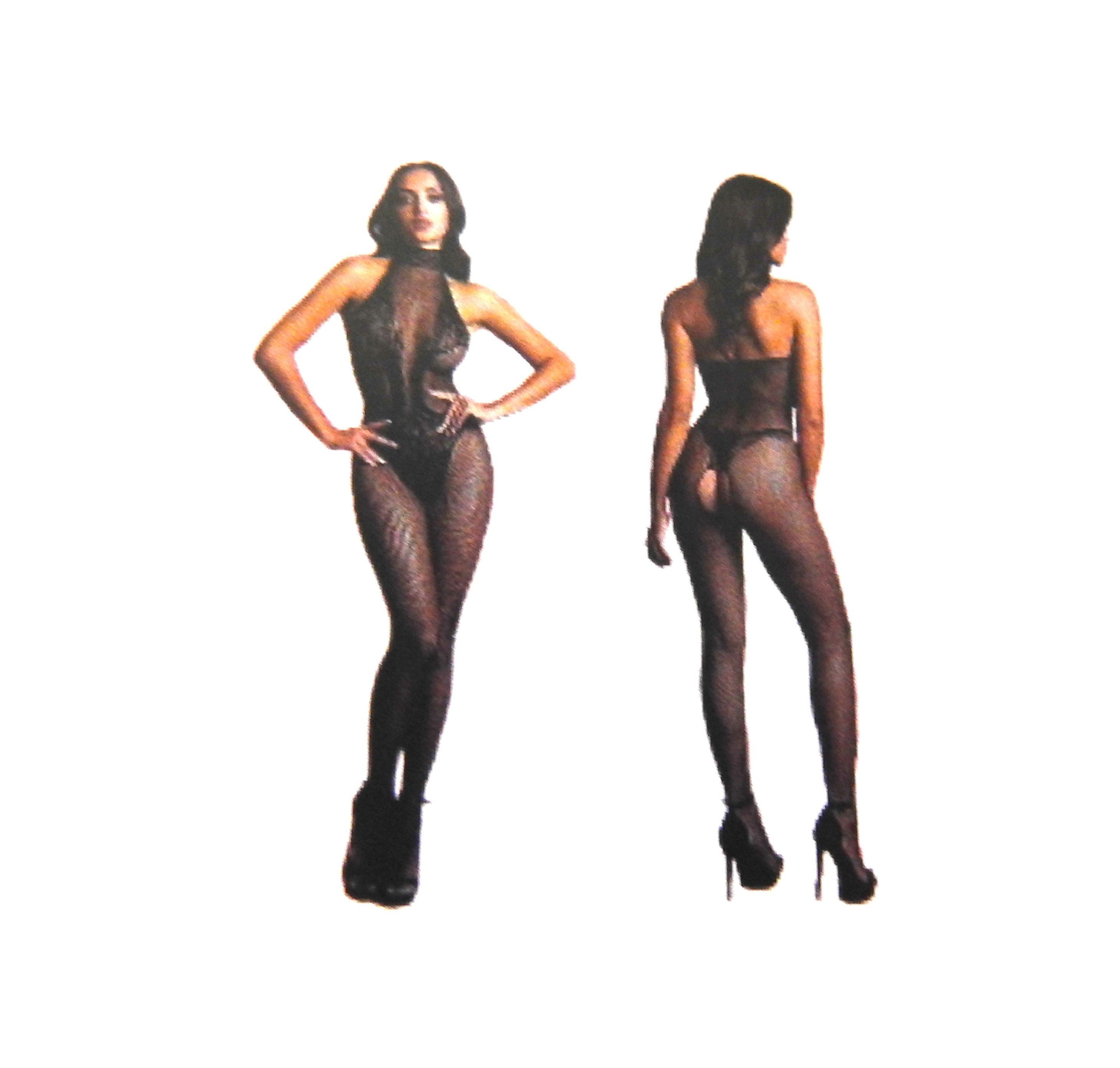 Le Desir Body-Ouvert Bodystocking
