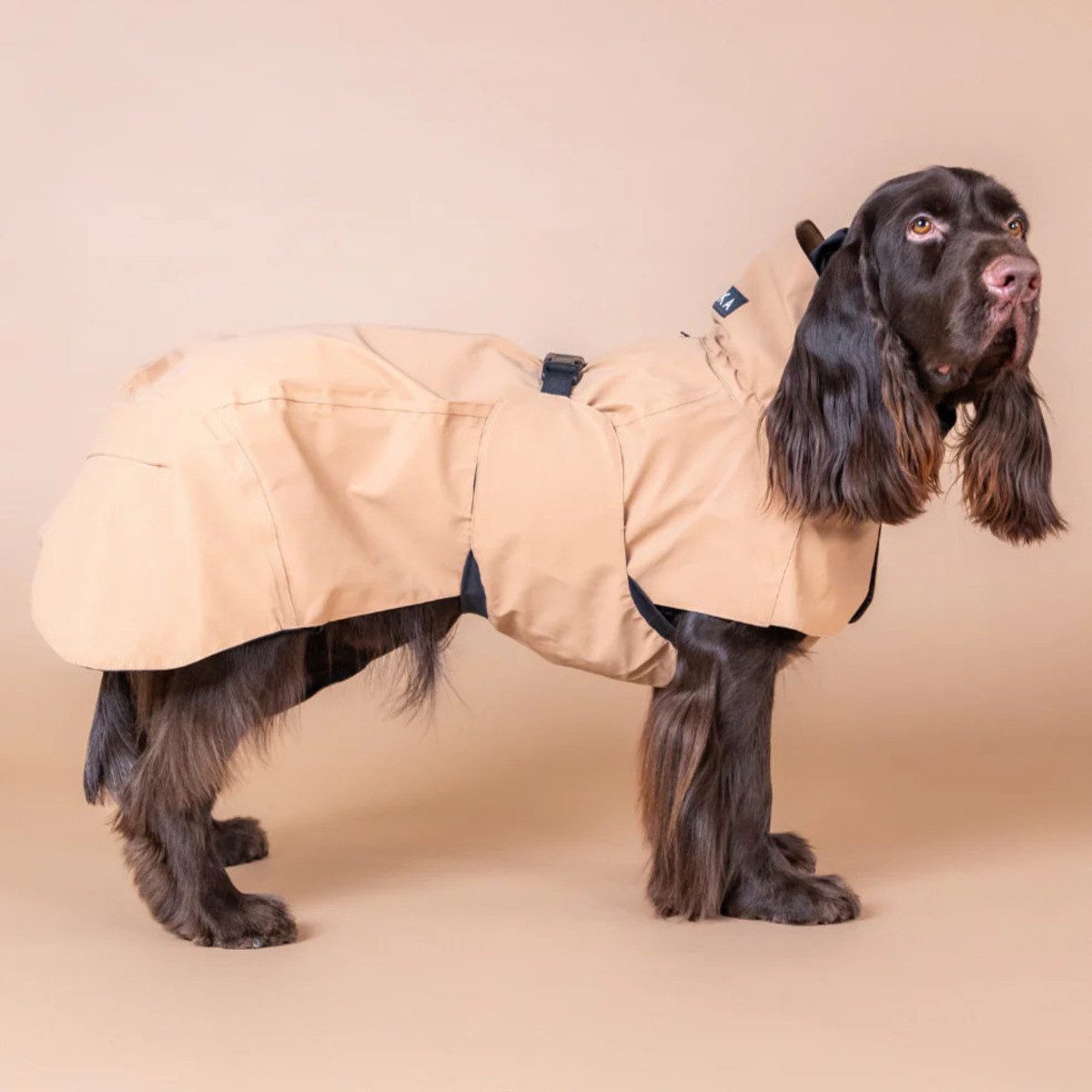 PAIKKA Hunderegenmantel Hunde Regenmantel leicht & reflektierend "Visibility Raincoat Lite t