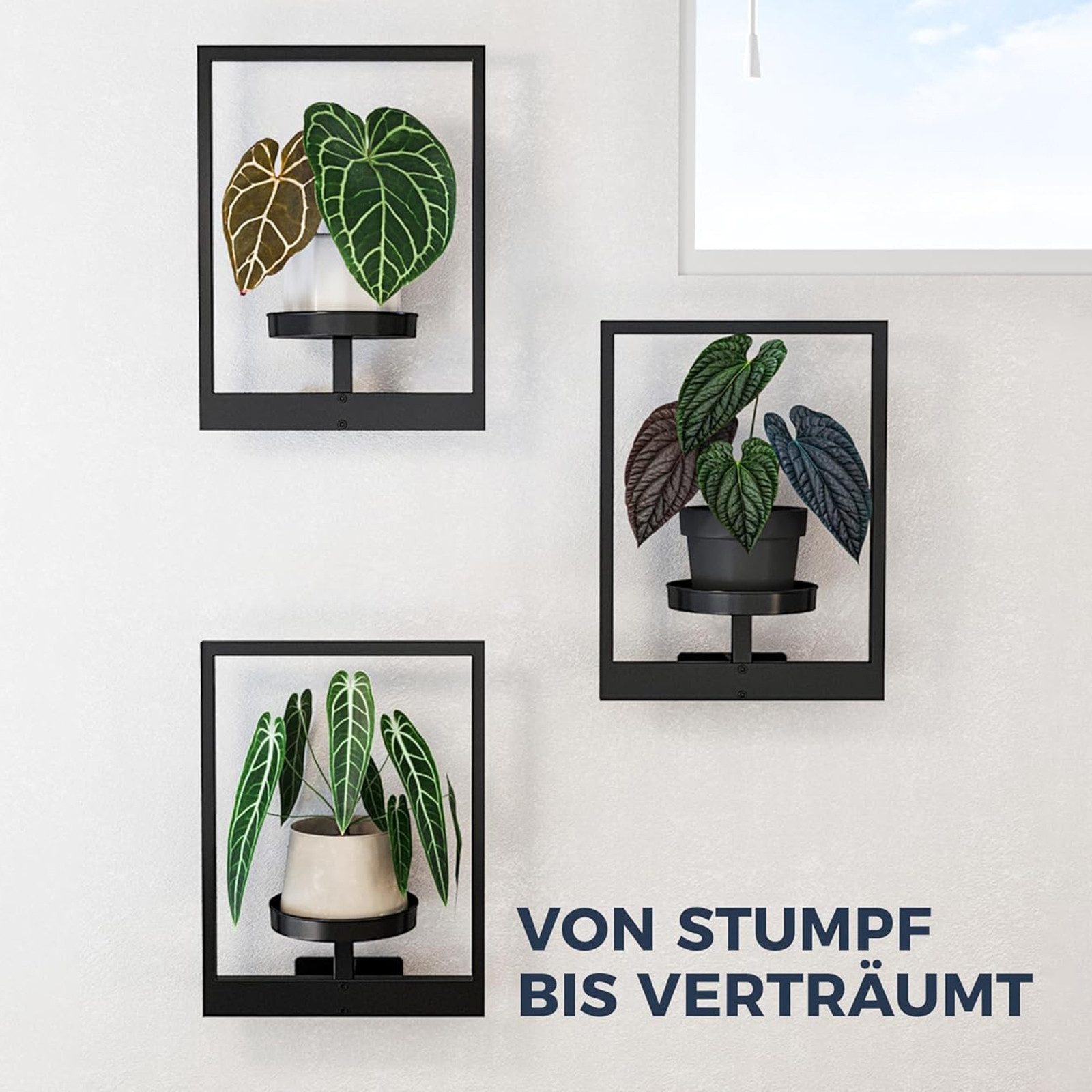 AIMAX Wanddekoobjekt Pflanzenständer Wandbehang für Zimmerpflanzen und Außenbereich 3 Set, Blumenständer mit Metallrahmen für Raumdekoration, blumenregal