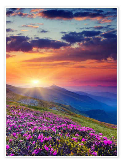 Posterlounge Poster Editors Choice, Rhododendronblüte in den Karpaten, Fotografie