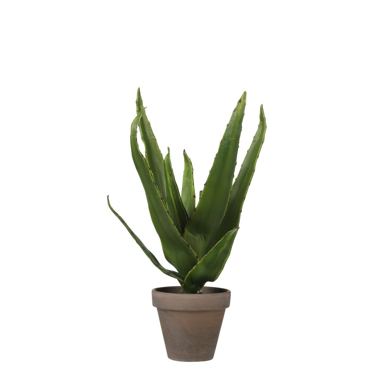 Kunstpflanze Mica Mica 16, 30 x Topf Aloe grün, Vera Kunstpflanze im Decorations