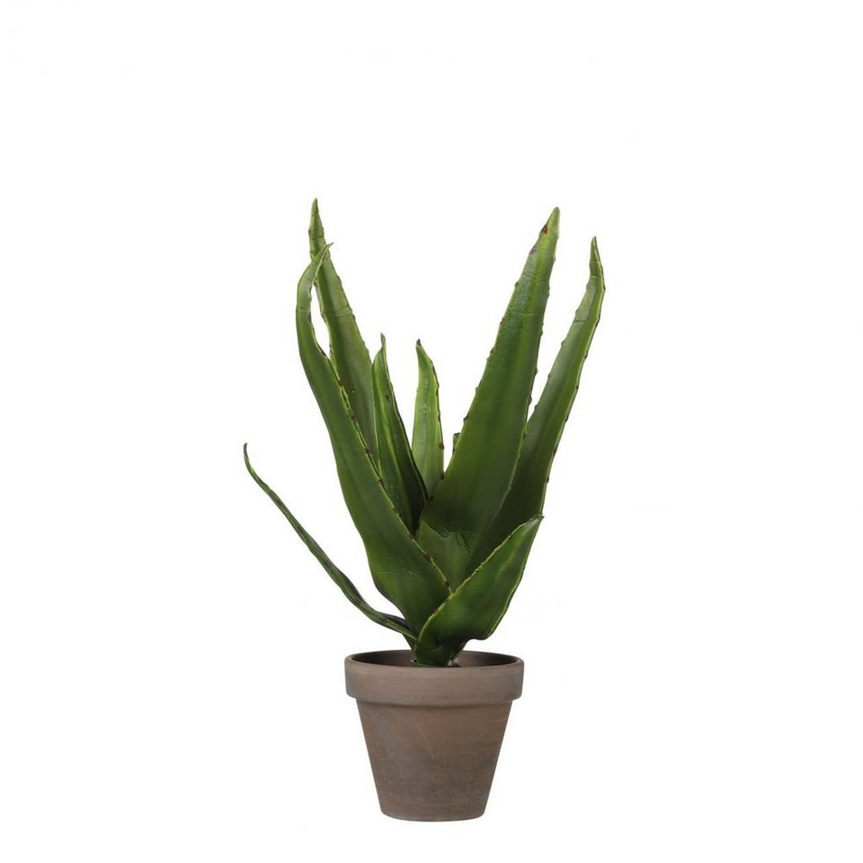 Kunstpflanze 16, Vera im 30 x grün, Mica Topf Kunstpflanze Aloe Decorations Mica