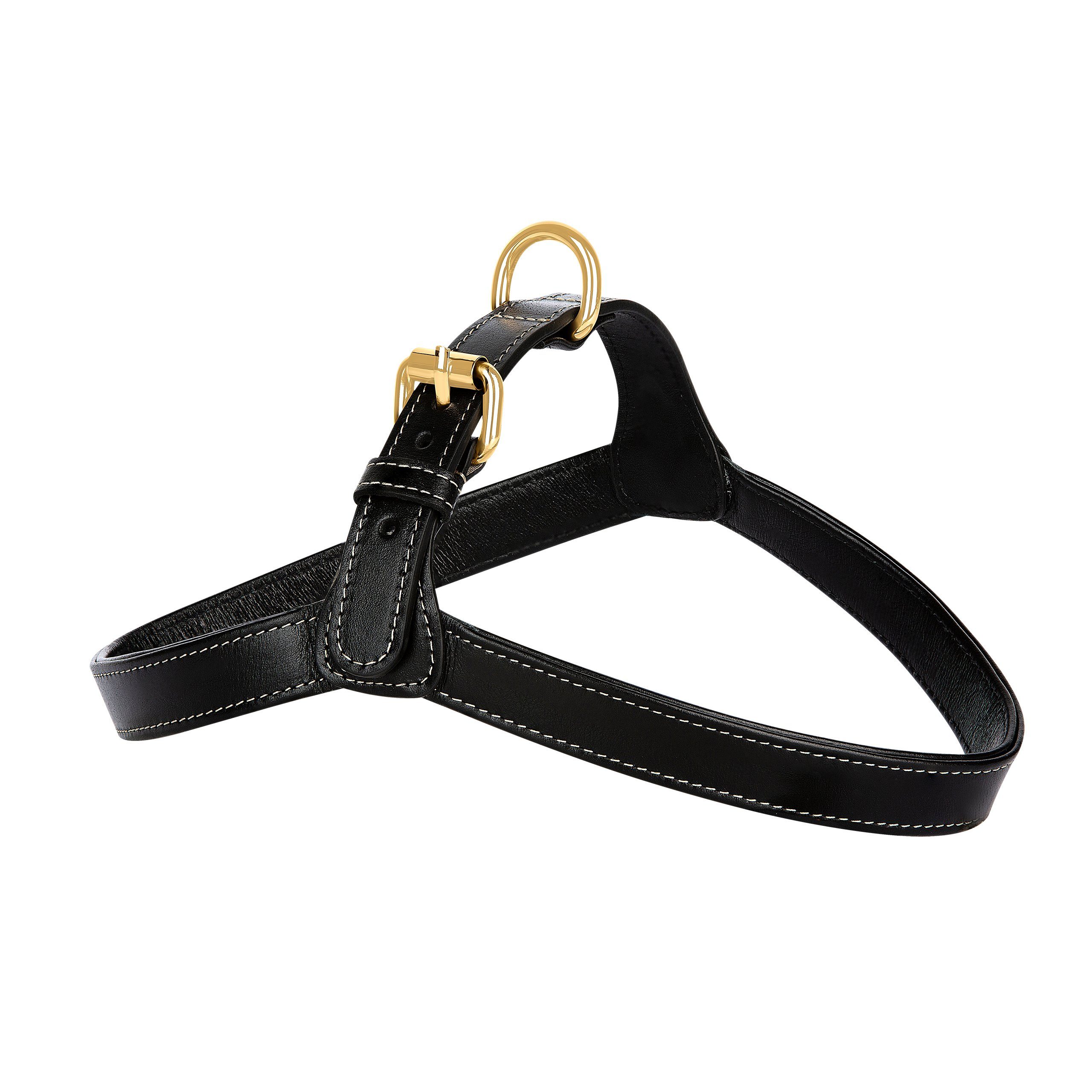 Belly´s Hunde-Geschirr Hundegeschirr aus Leder mit goldenen Accessoires, Echtes Leder