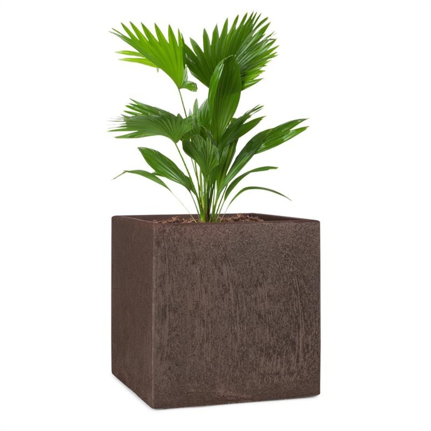 blumfeldt Hochbeet Solid Grow Rust Pflanzgefäß günstig online kaufen