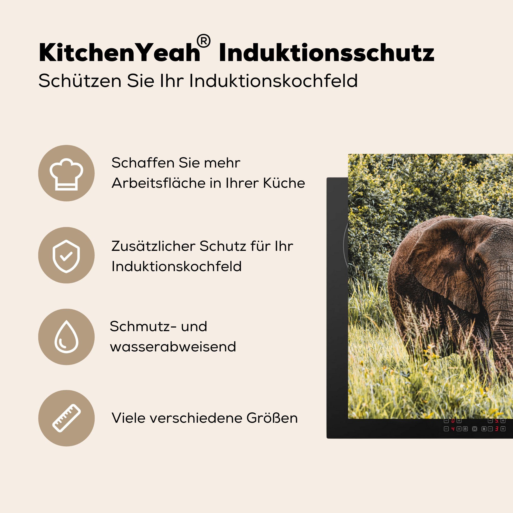78x78 Vinyl, Herdblende-/Abdeckplatte - Ceranfeldabdeckung, - cm, Gras für (1 Arbeitsplatte Natur, tlg), MuchoWow küche Elefant