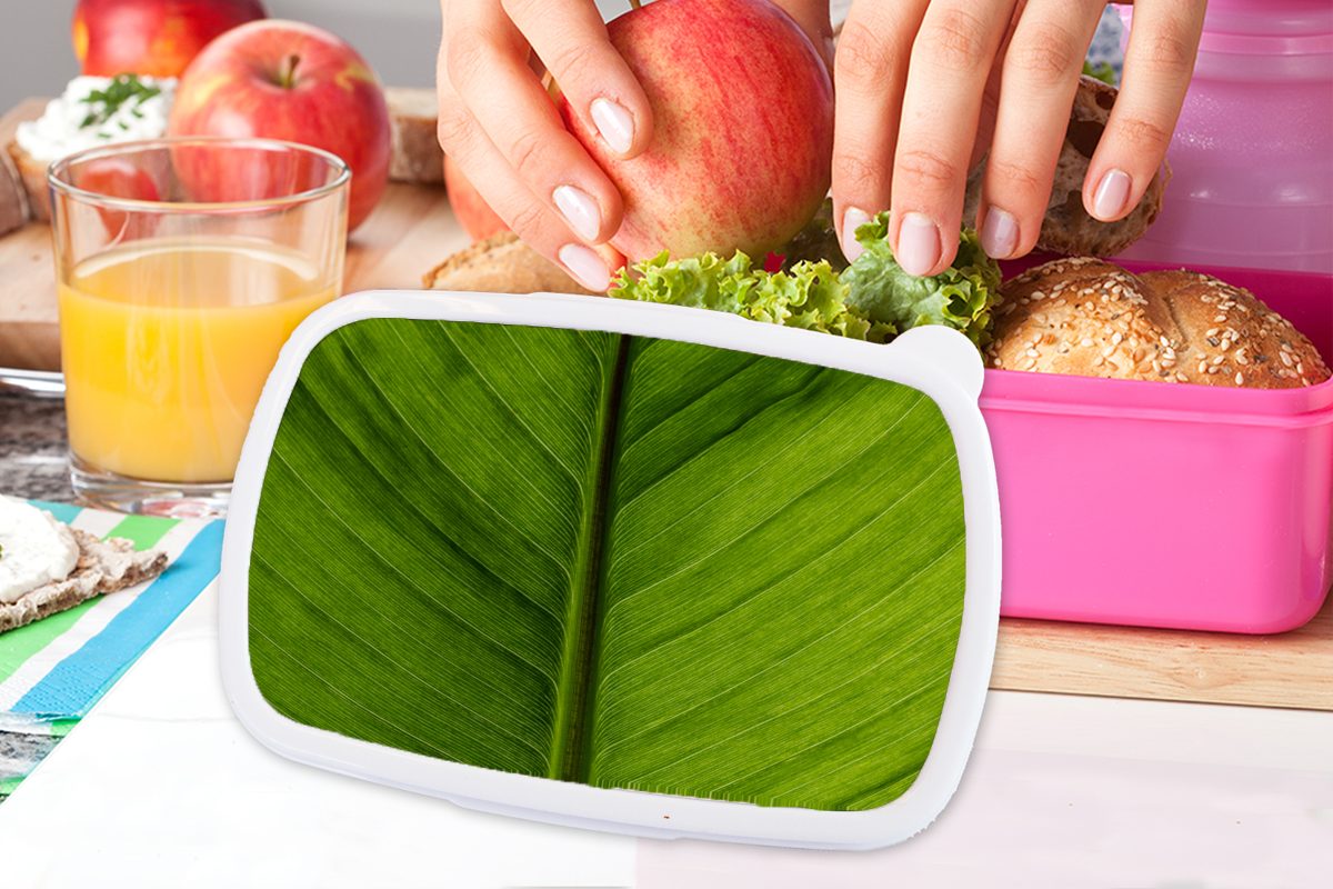 MuchoWow Lunchbox Blätter - Textur Kunststoff, Erwachsene, (2-tlg), Mädchen, Snackbox, - Grün, Brotbox rosa Kunststoff für Brotdose Kinder