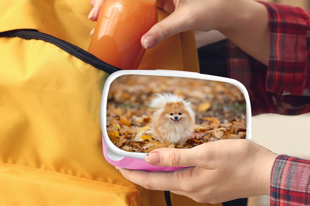 MuchoWow Lunchbox Pomeranian im rosa Snackbox, Herbst, Kinder, Brotbox (2-tlg), Kunststoff Mädchen, Erwachsene, Kunststoff, Brotdose für