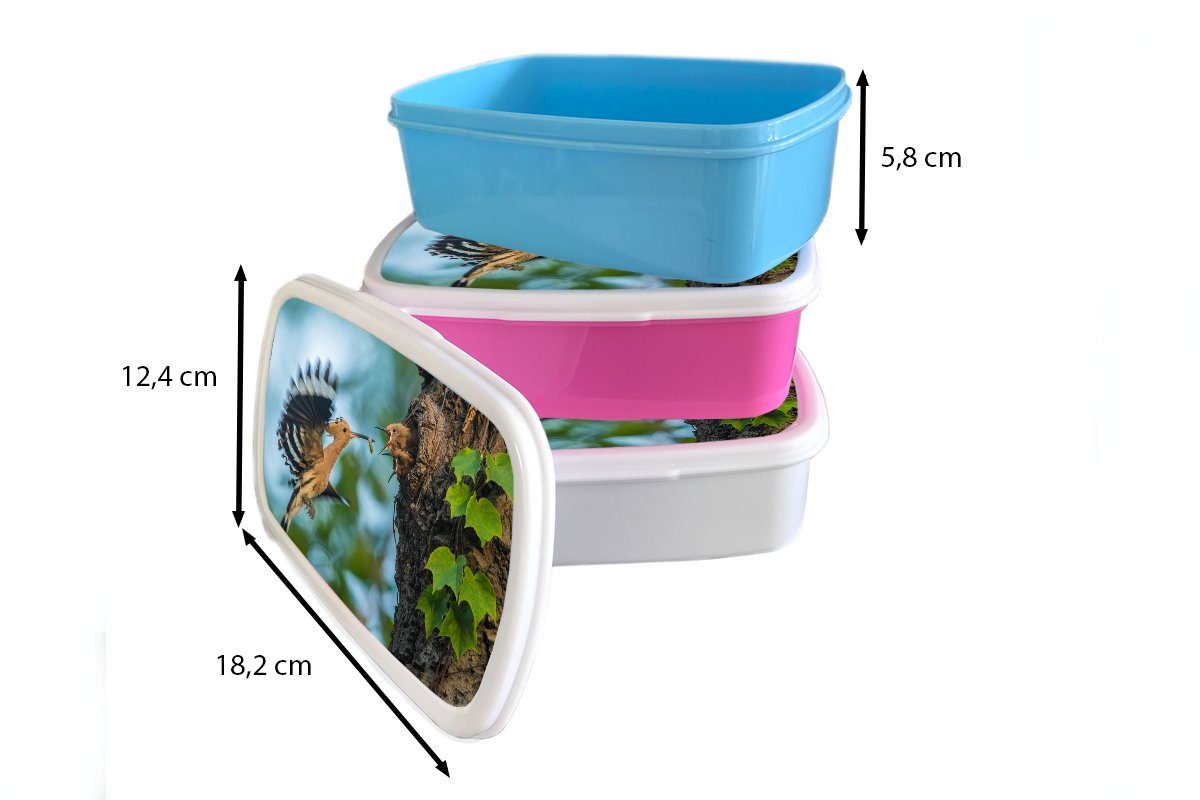 Nest, für Brotbox und Kunststoff, und Jungen Brotdose, Kinder füttert im Jungs Erwachsene, weiß seine Mädchen Ein Lunchbox für (2-tlg), Wiedehopf MuchoWow