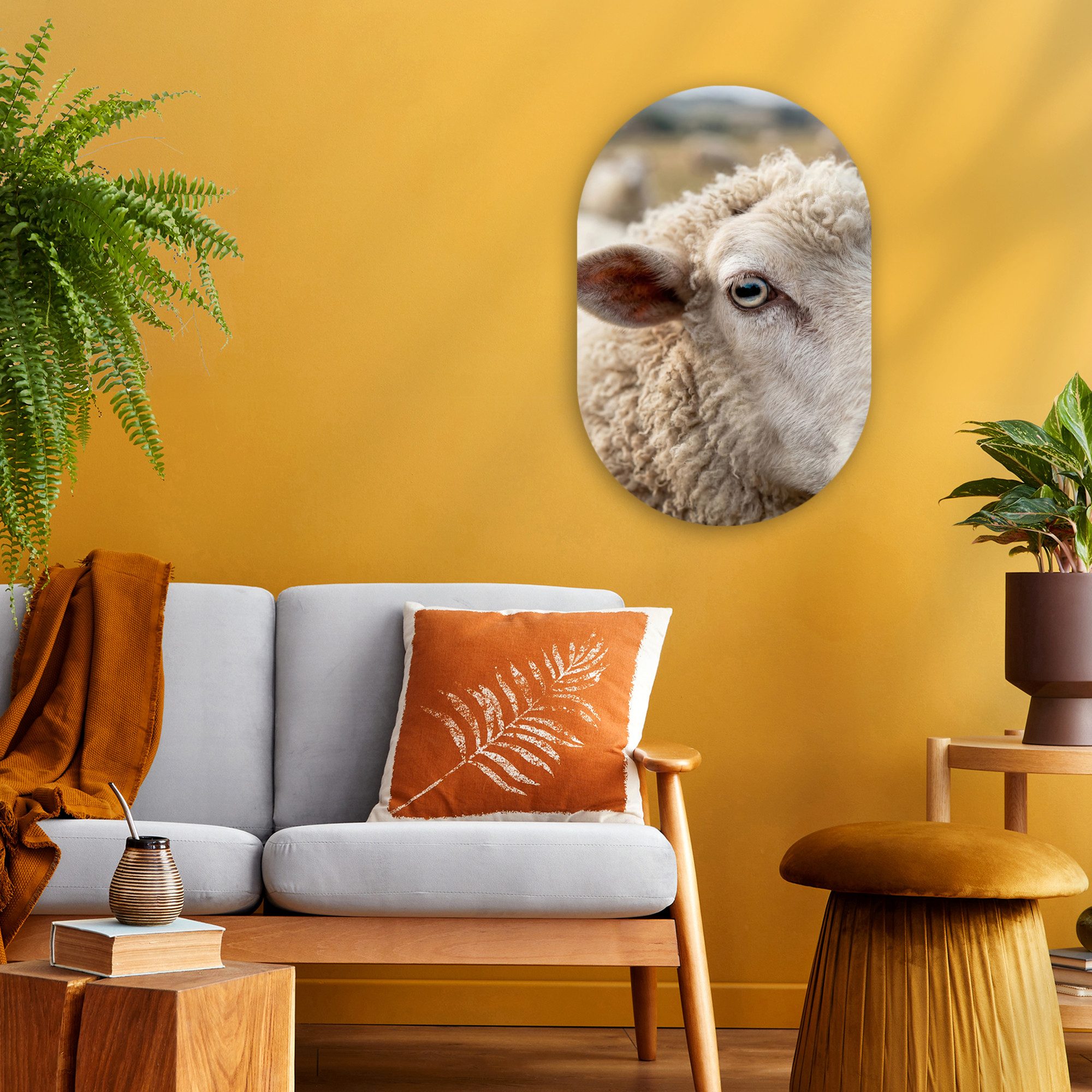 MuchoWow Gemälde Schaf - Auge - Weiß, Fotodruck (1 St), Wandbild Oval, Wohnzimmer oder Schlafzimmer Wanddekoration, 40x60 cm