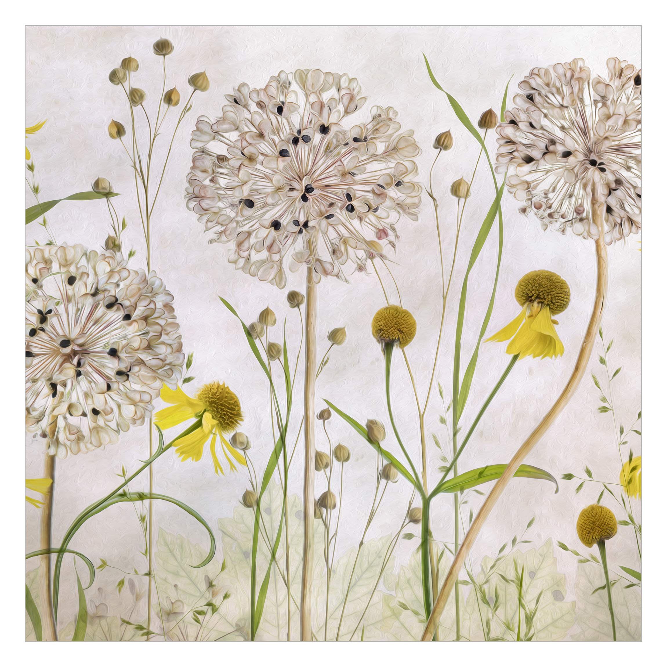 Bilderdepot24 Vliestapete Vintage Allium Helenium Illustration Blumen Beige günstig online kaufen
