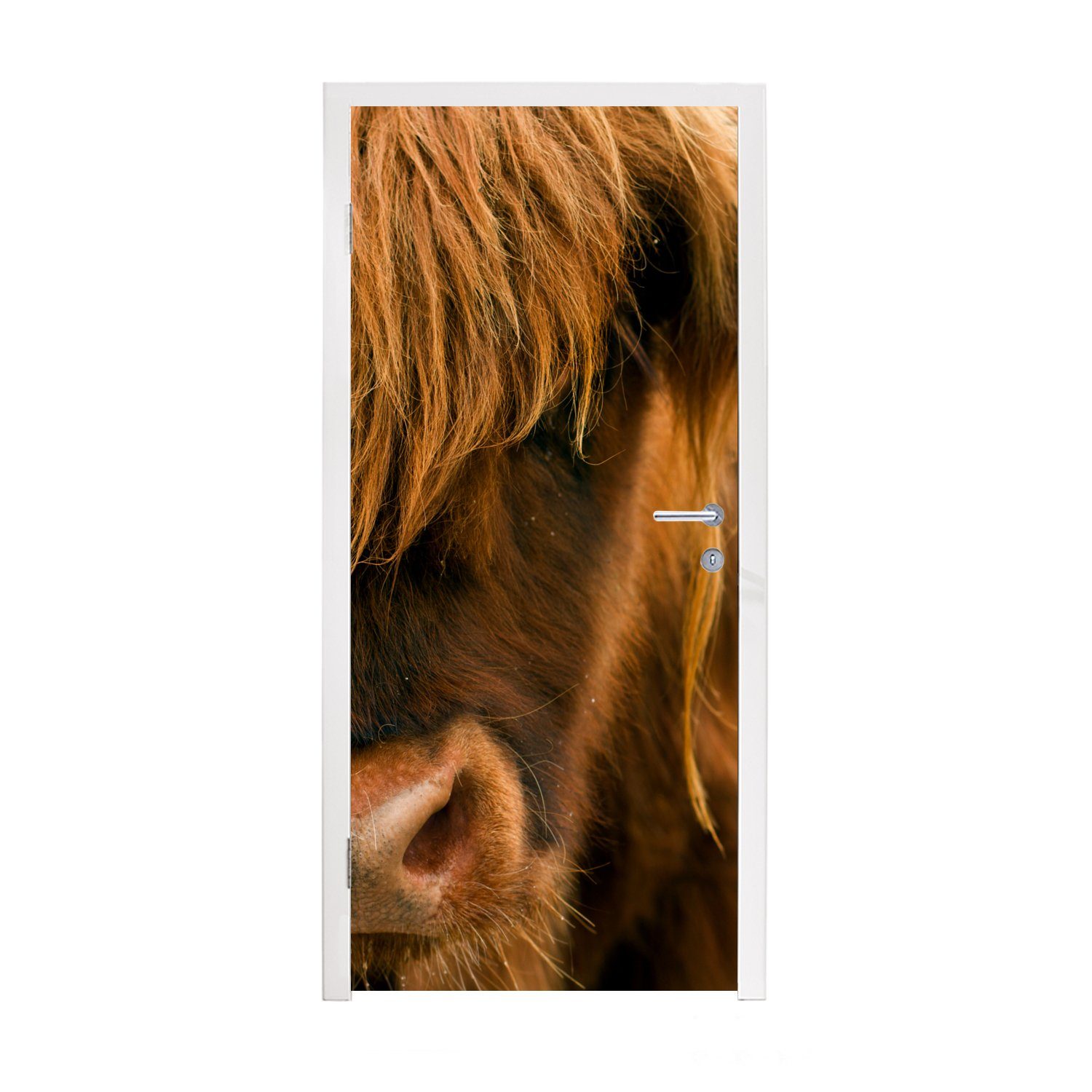 MuchoWow Türtapete Schottischer Highlander - Natur - Porträt, Matt, bedruckt, (1 St), Fototapete für Tür, Türaufkleber, 75x205 cm