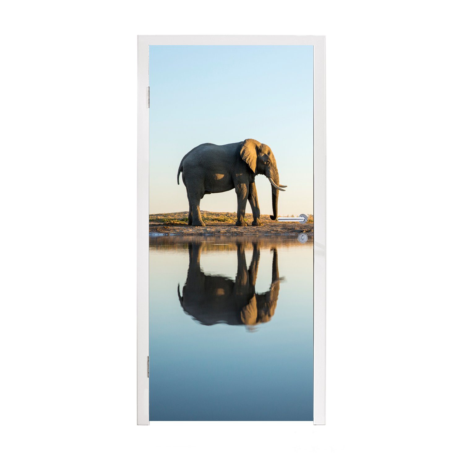 - - Wasser Fototapete St), 75x205 Tür, Türtapete cm Matt, - Tiere bedruckt, Bäume Elefant für Türaufkleber, (1 MuchoWow - Natur,